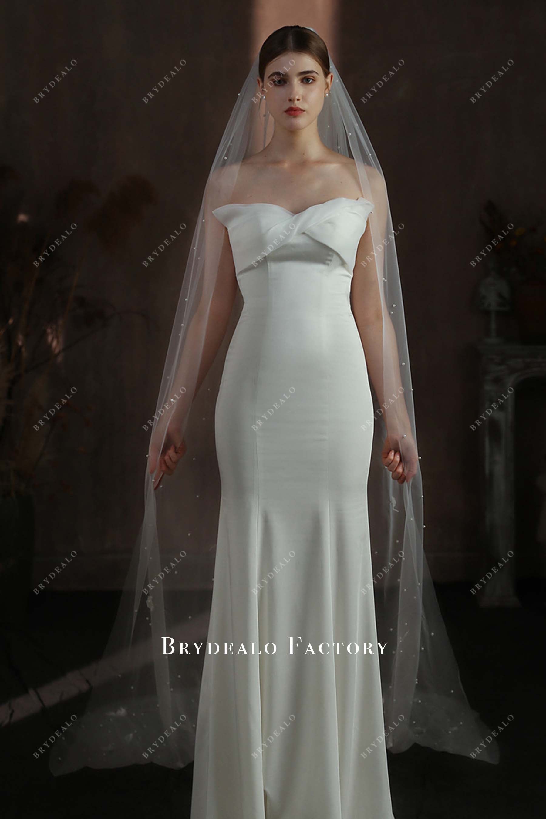 cathedral length tulle bridal veil