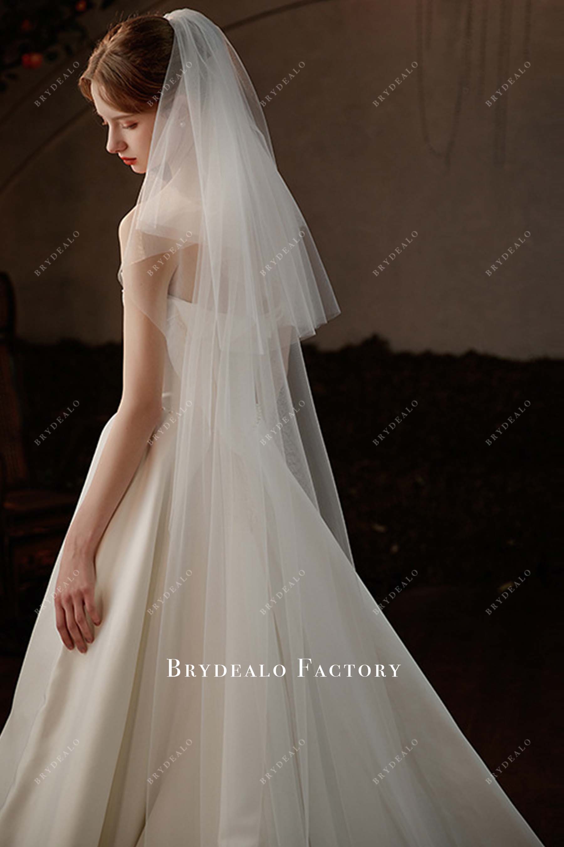 chapel length tulle bridal veil