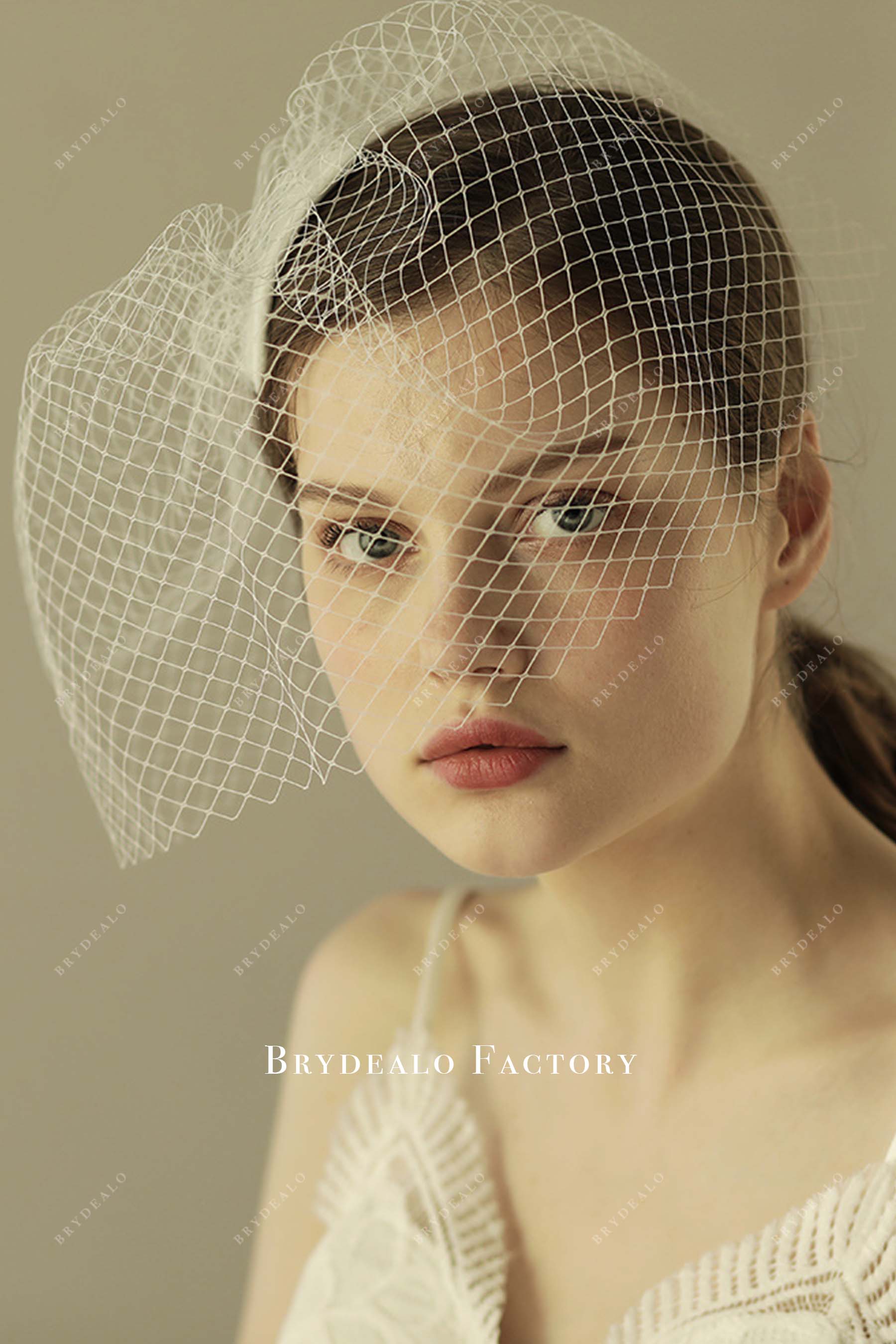 birdcage bridal veil