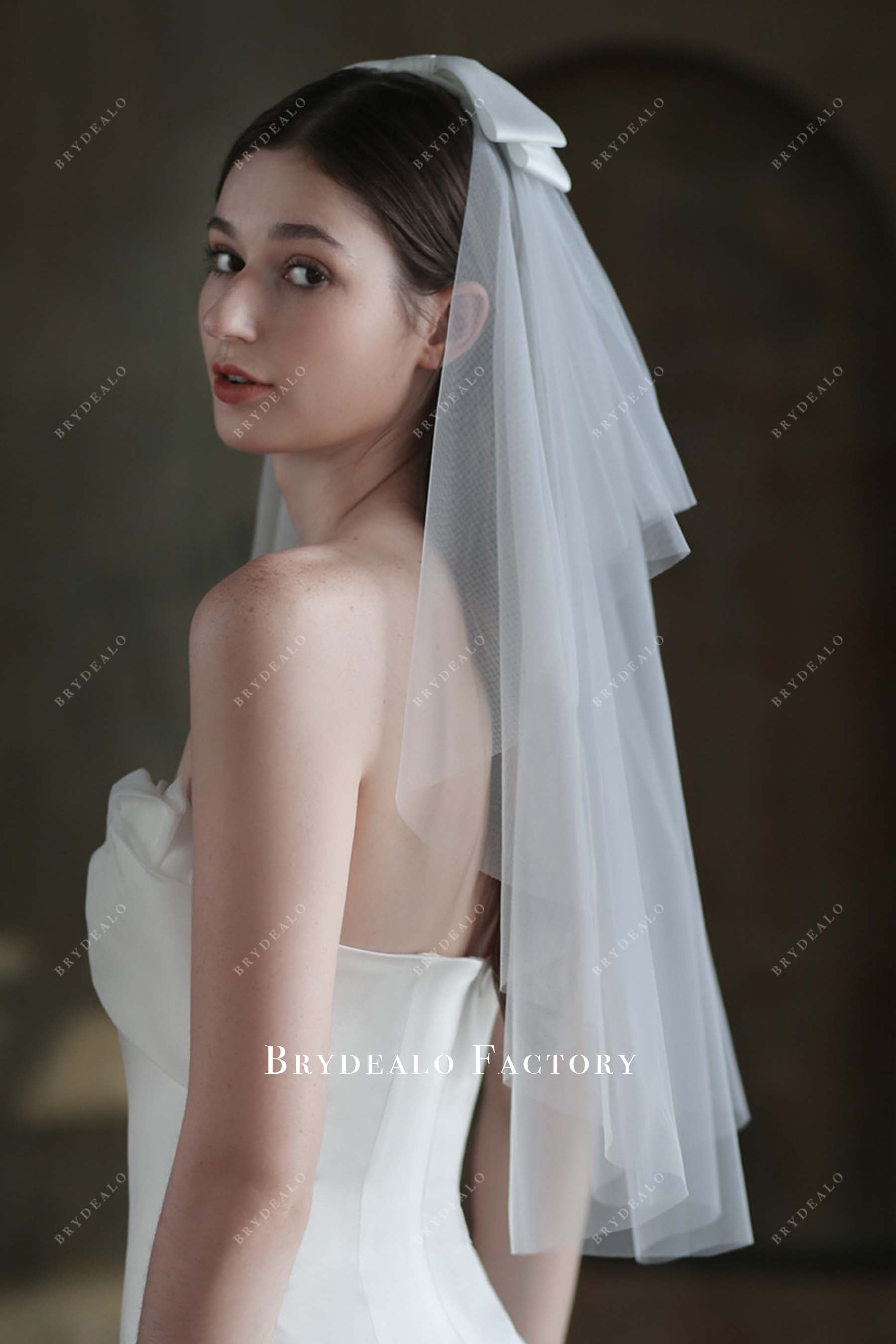 bowknot wedding veil