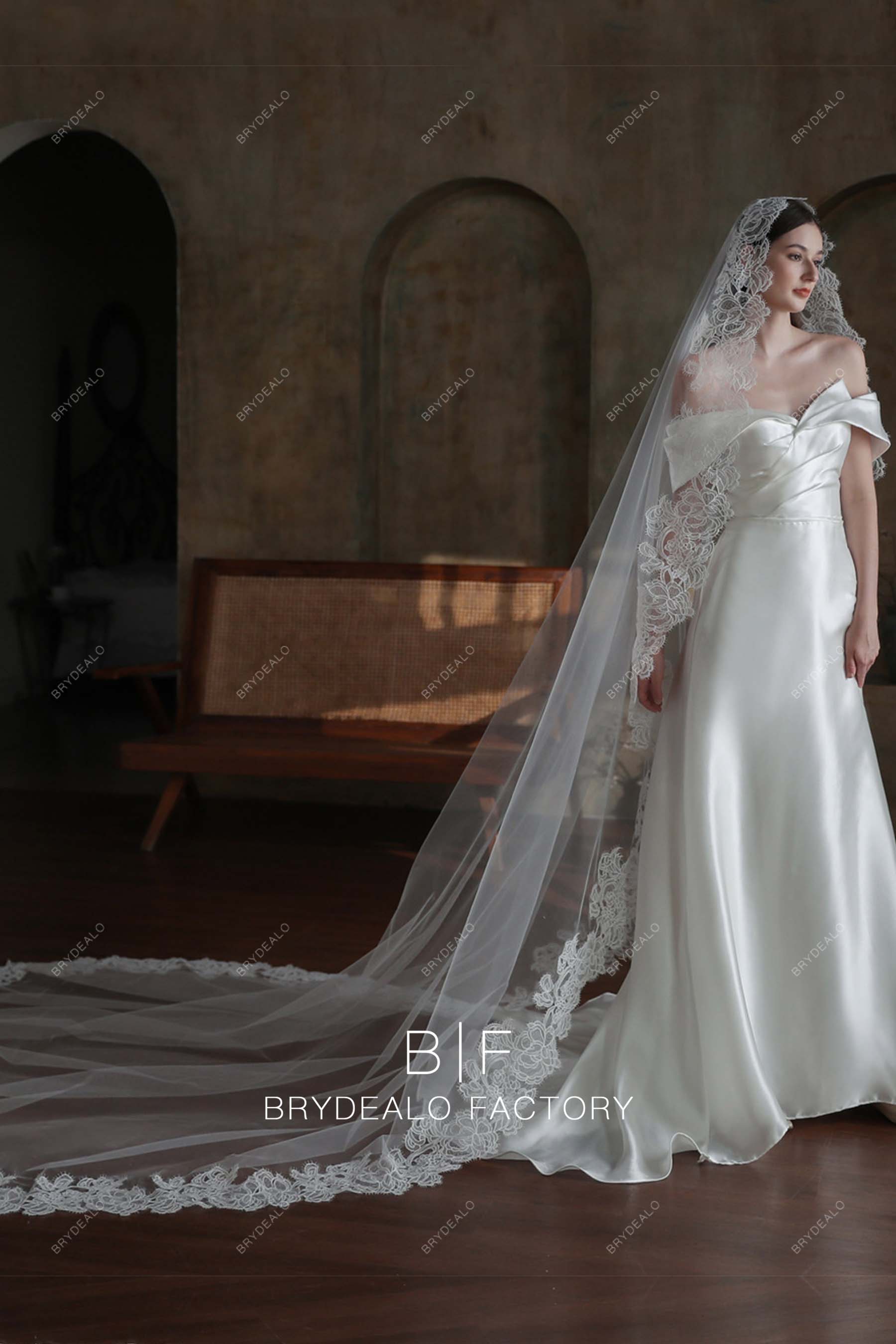 long sleeve wedding dress with cathedral veil Retro Single Tier Tulle Lace Motifs Cathedral Length Bridal Veil