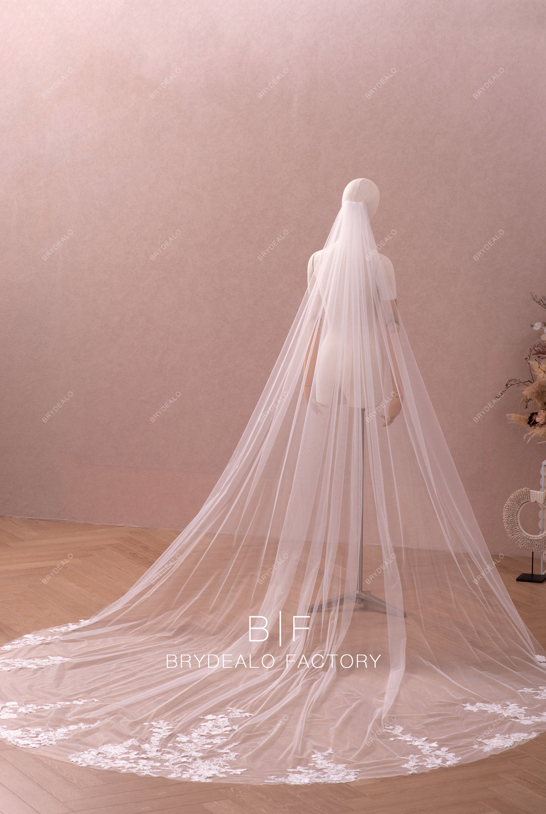 Gorgeous Wild Lace Single Tier Cathedral Length Wedding Veil