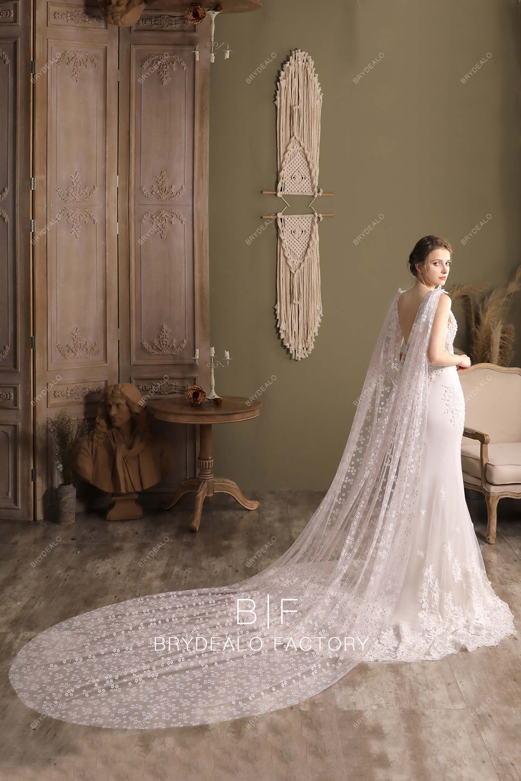 cathedral length watteau veil