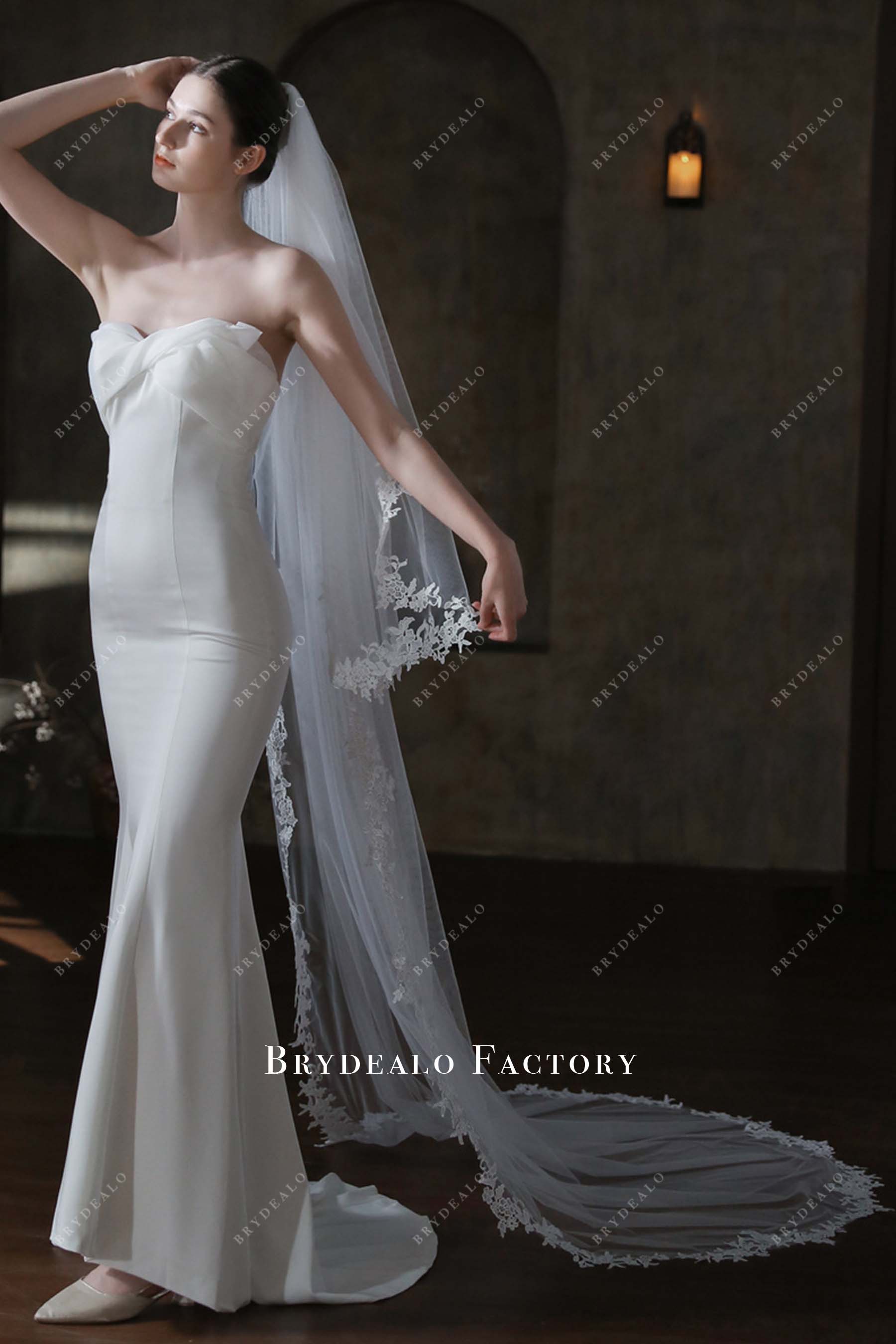 chapel length tulle wedding veil