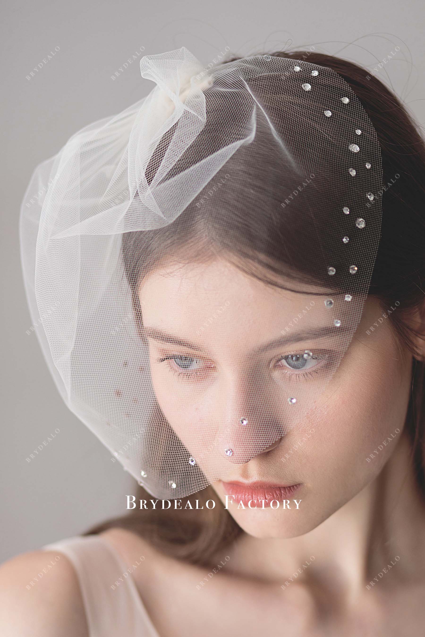chic crystal birdcage bridal veil