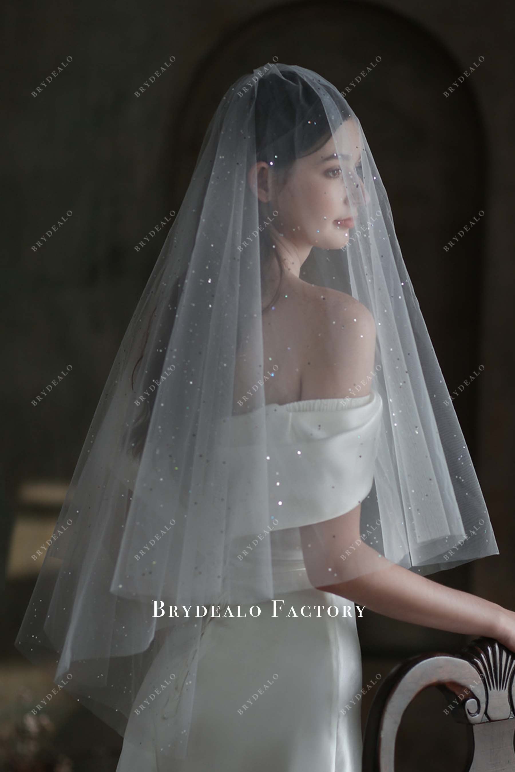 glitter bridal veil