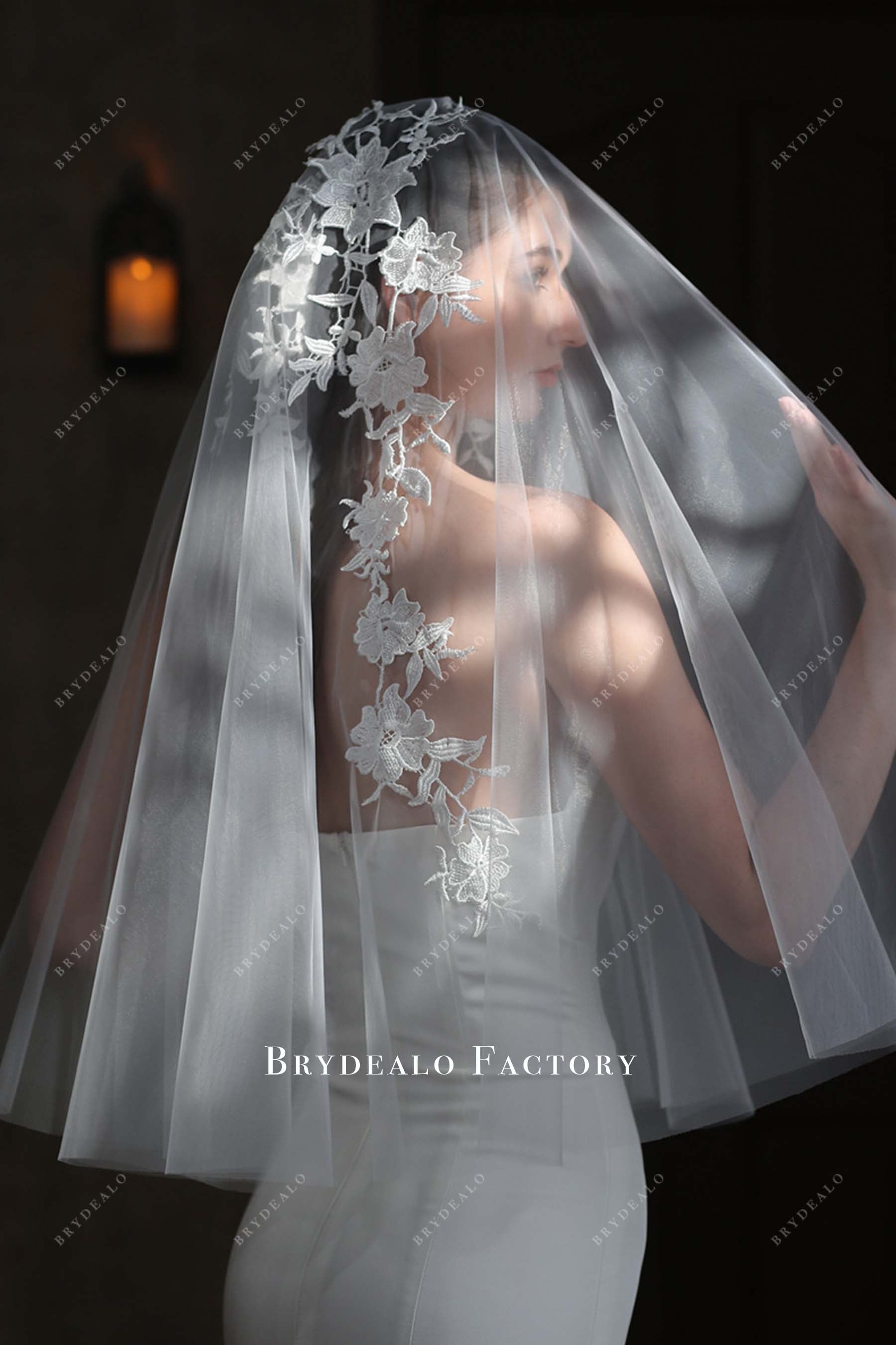 lace appliques bridal veil
