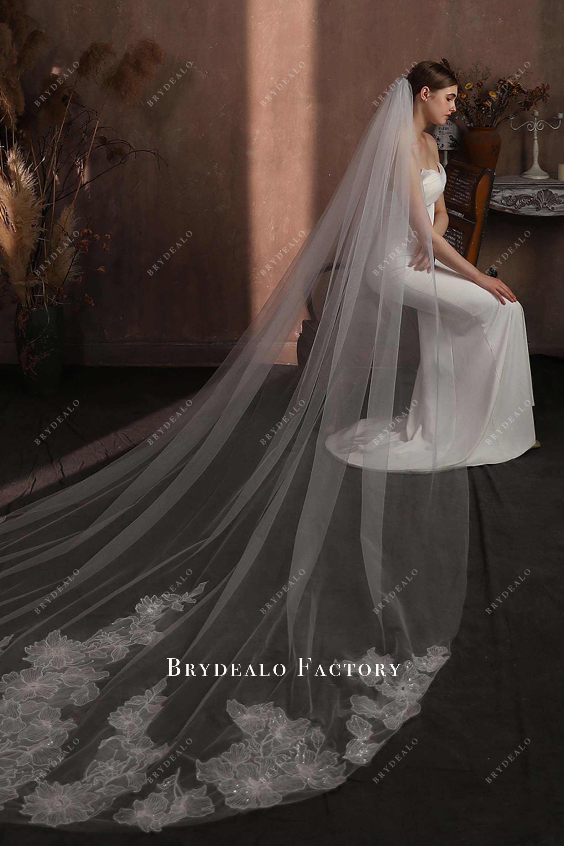 lace appliques bridal veil