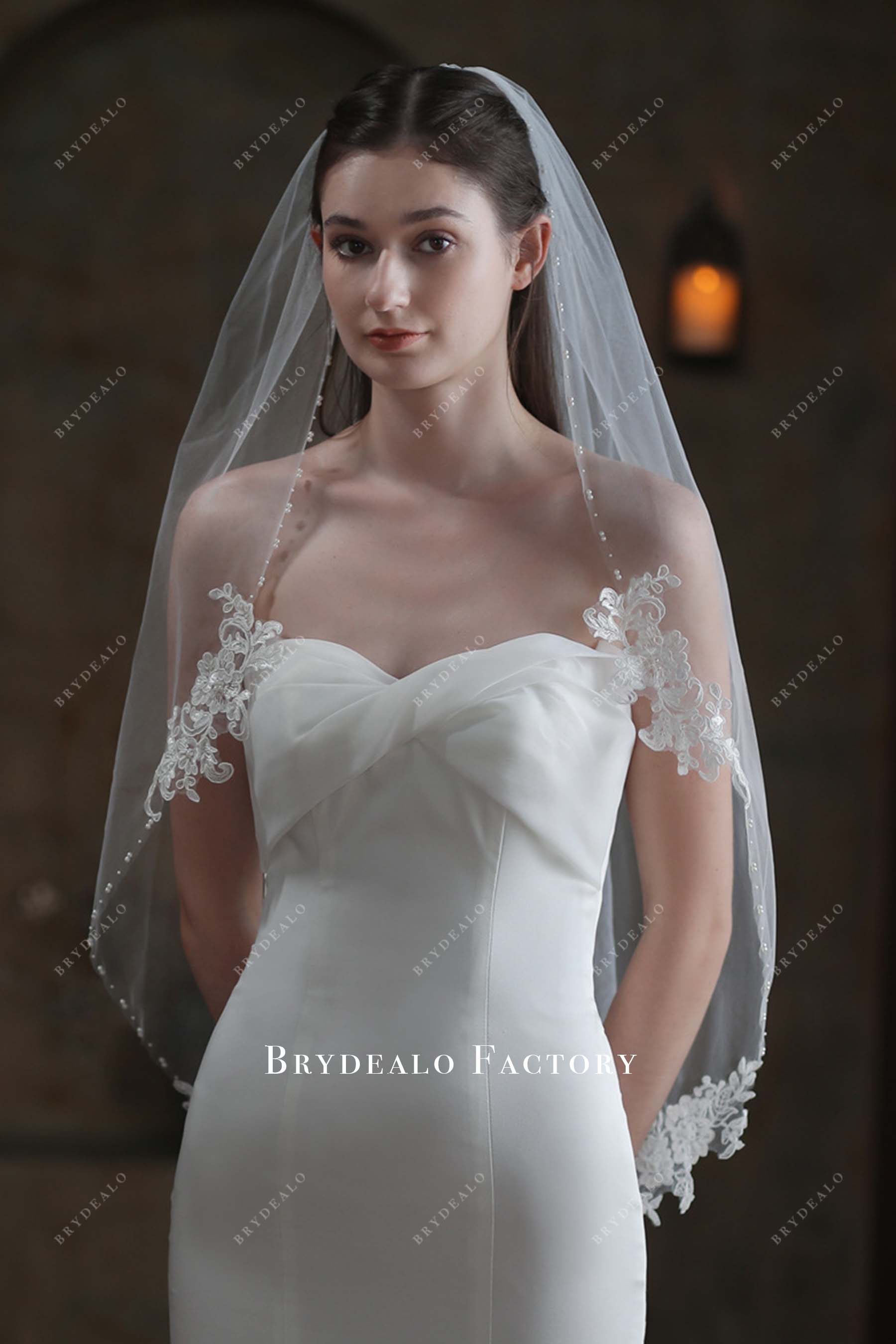 lace appliques bridal veil