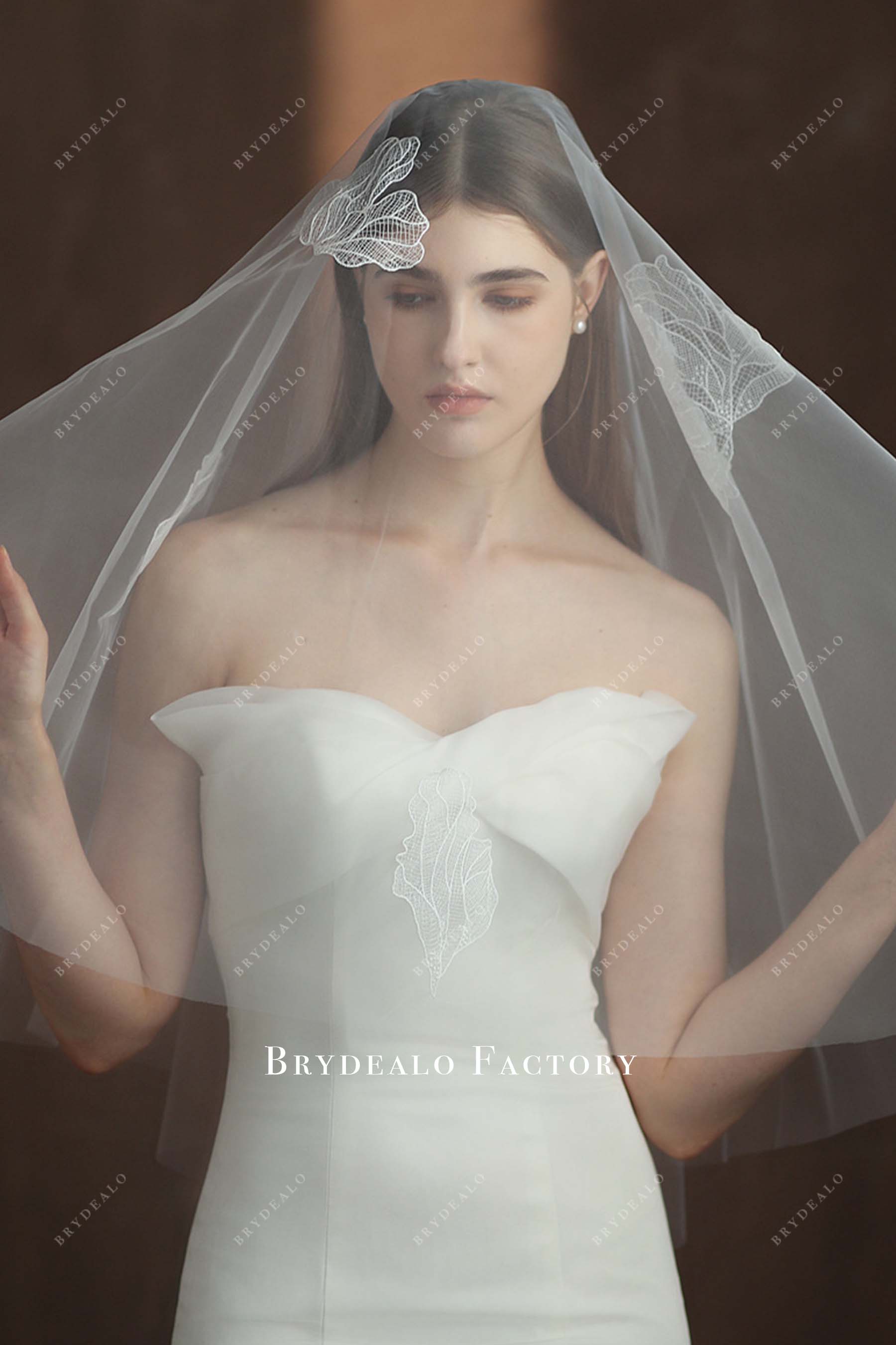 lace appliques tulle bridal veil