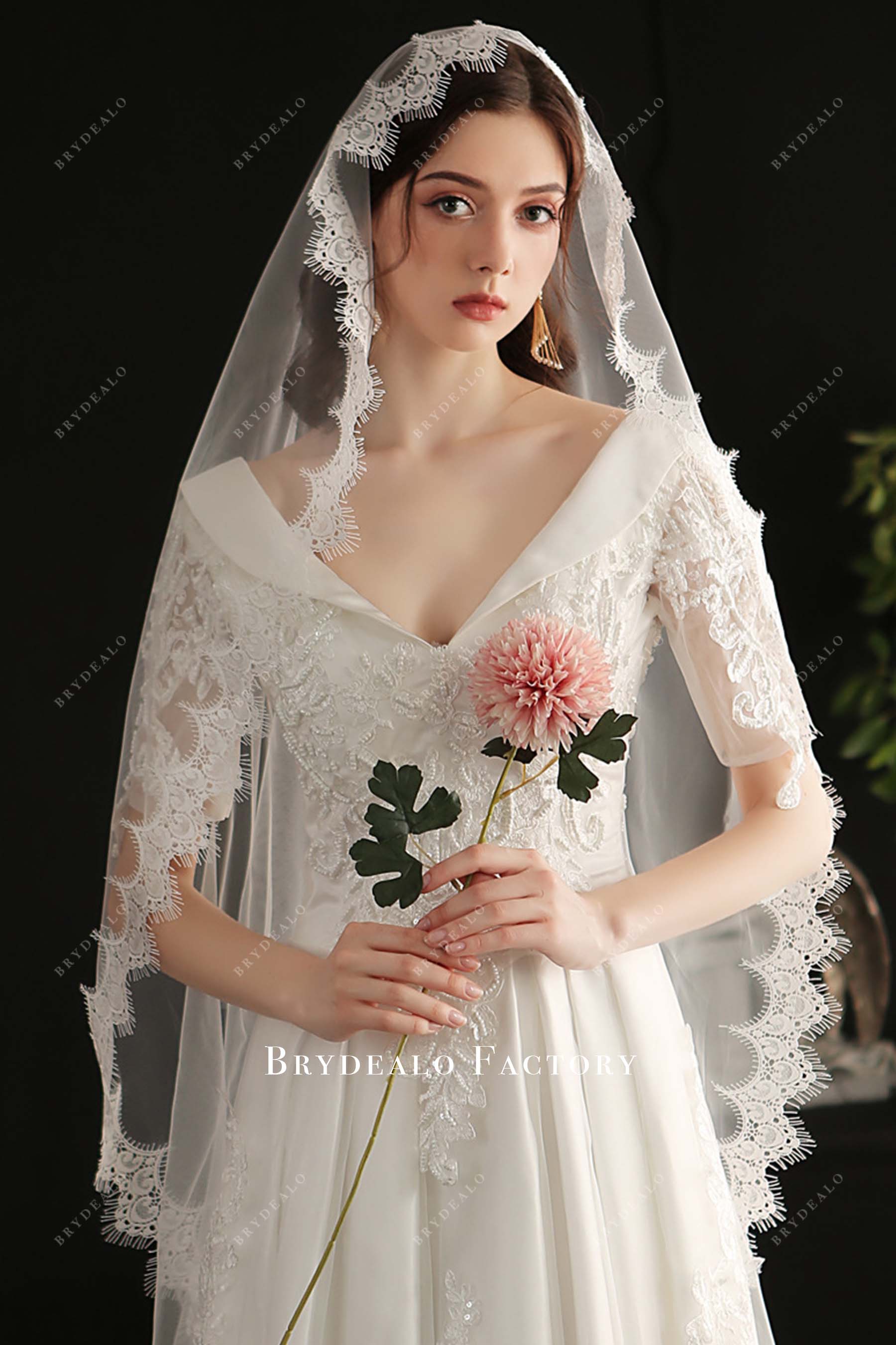 lace appliques wedding veil