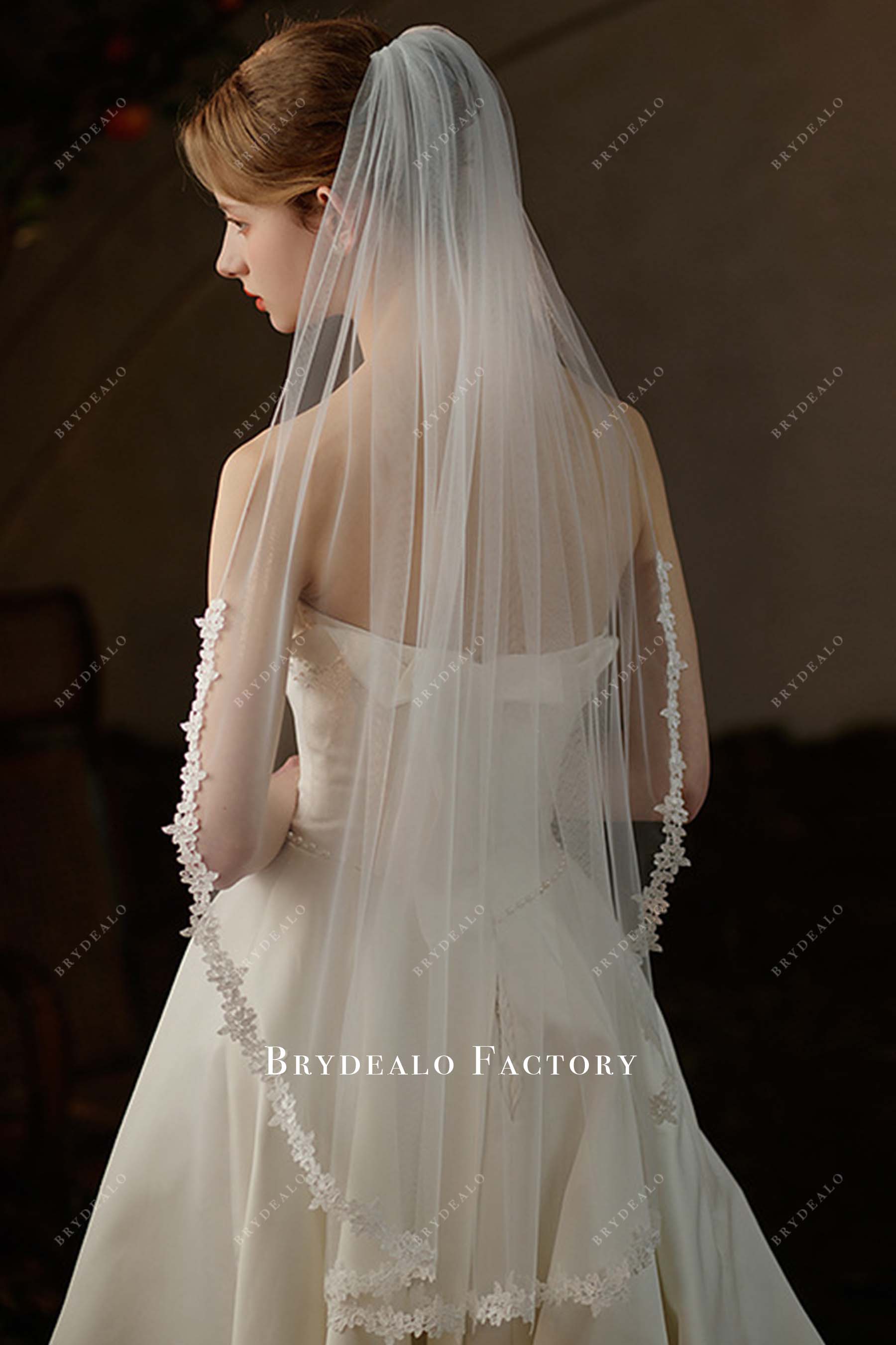 lace edge tulle bridal veil