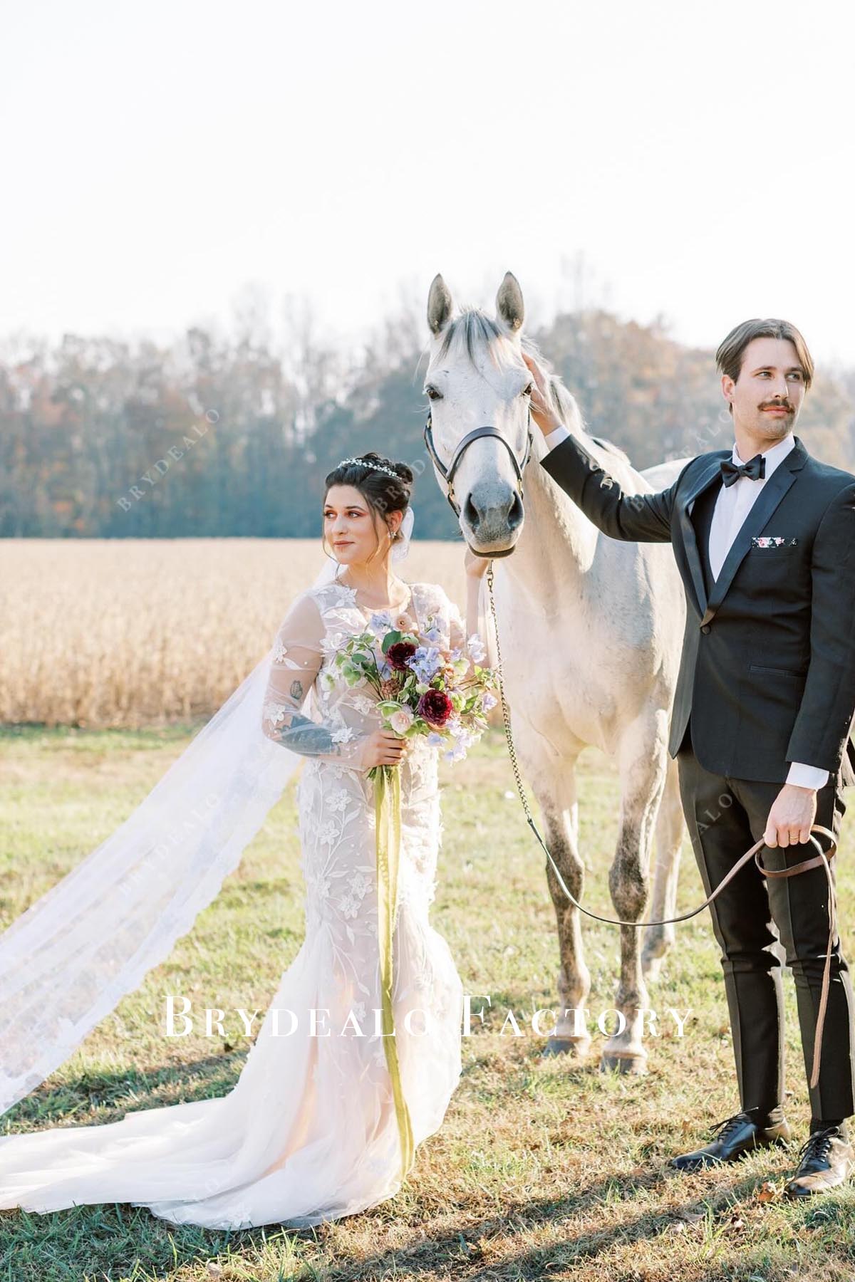 lace long sleeves wedding dress