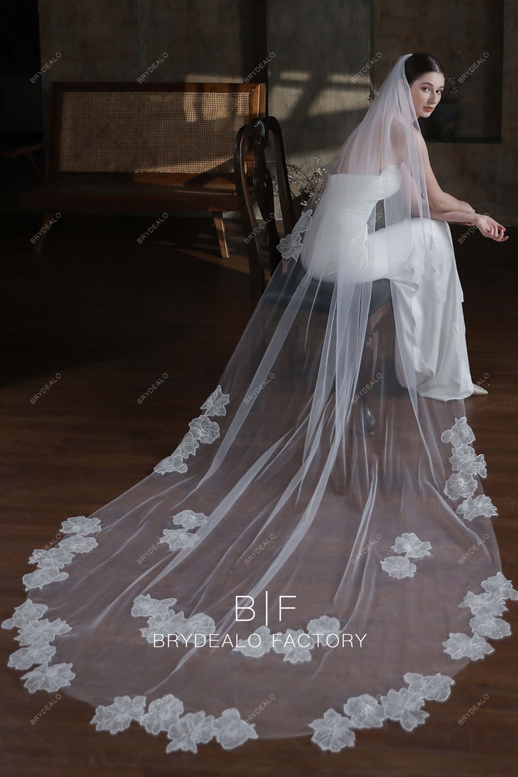 lace motifs wedding veil