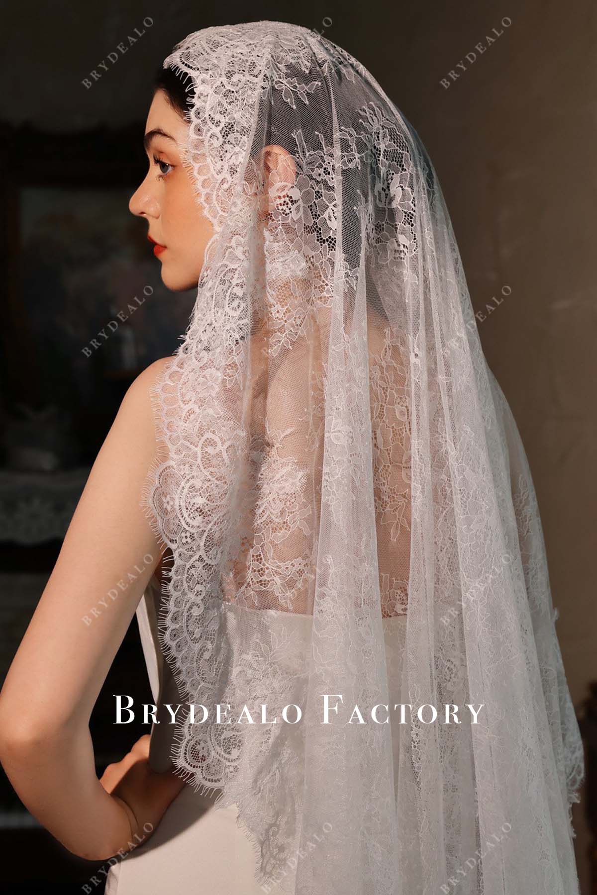 lace motifs wedding veil