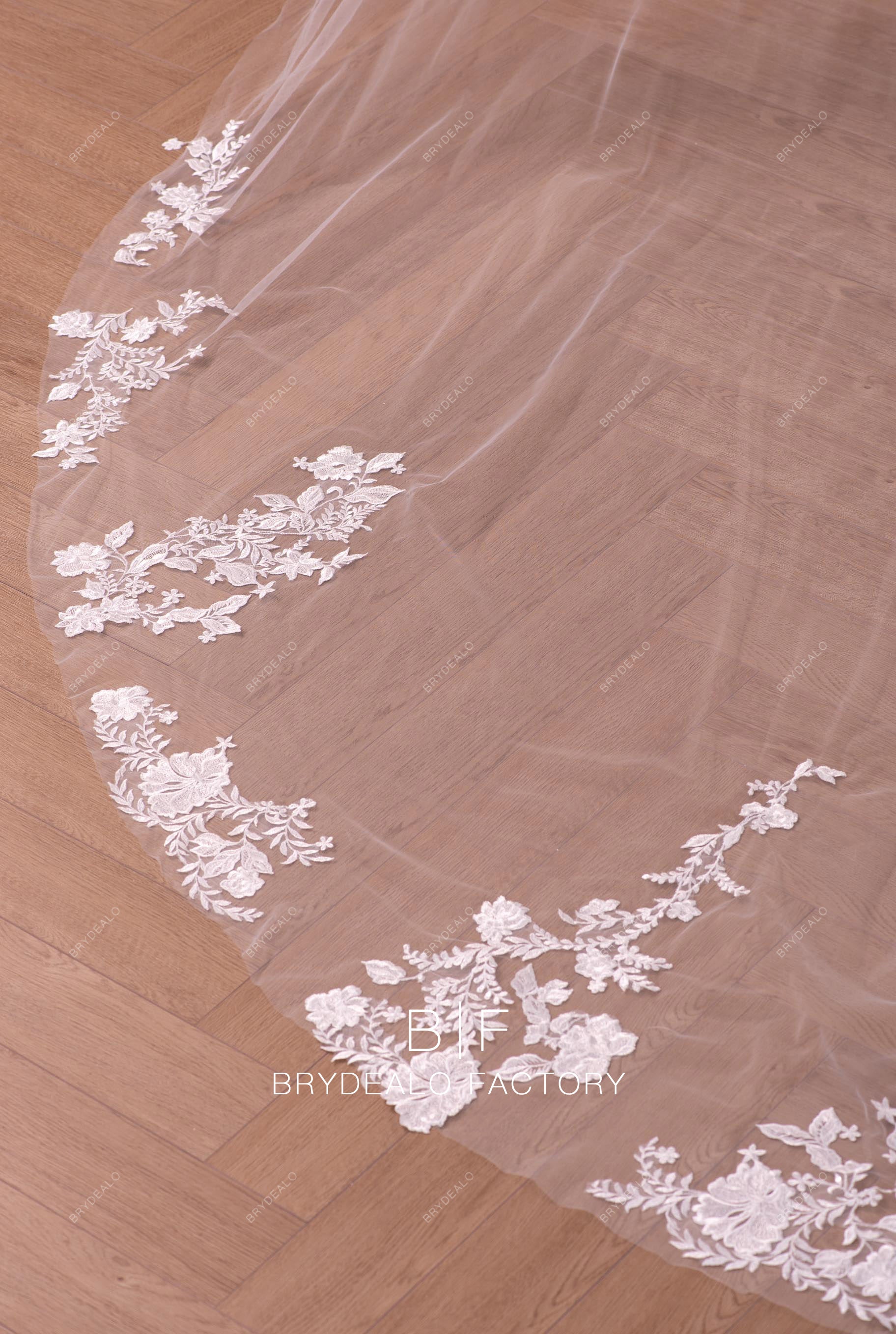 Gorgeous Wild Lace Single Tier Cathedral Length Wedding Veil