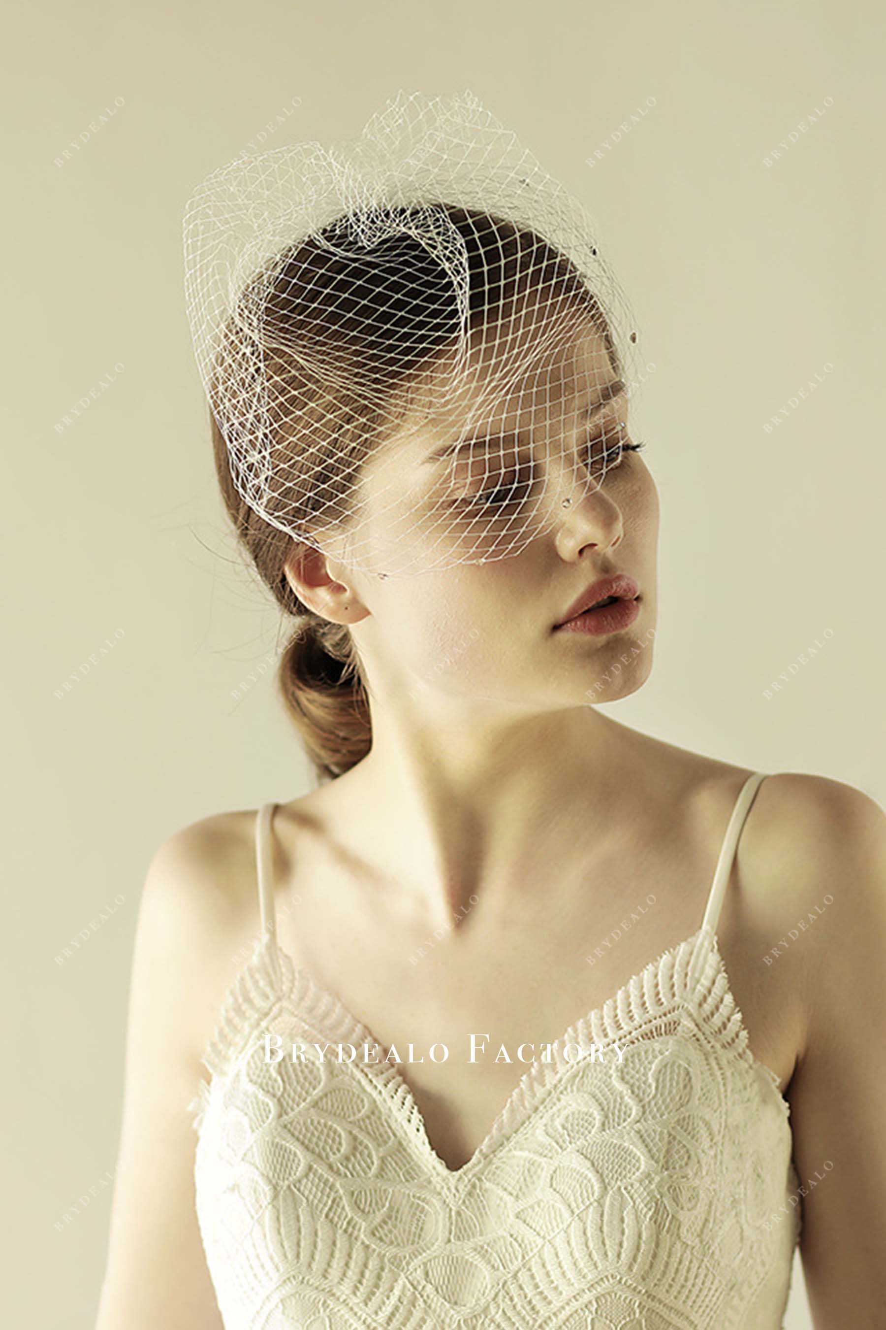 net birdcage bridal veil