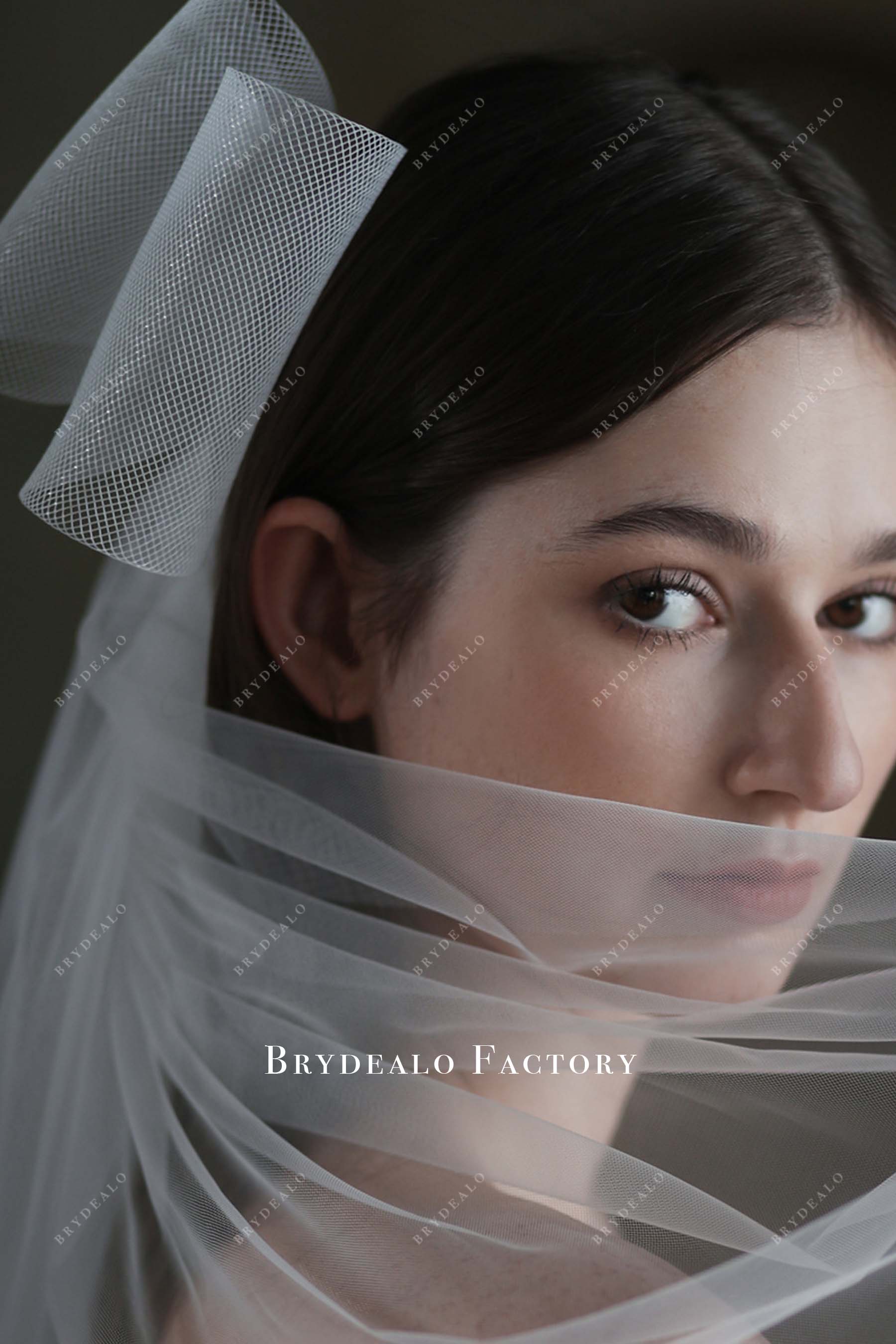 net wedding veil