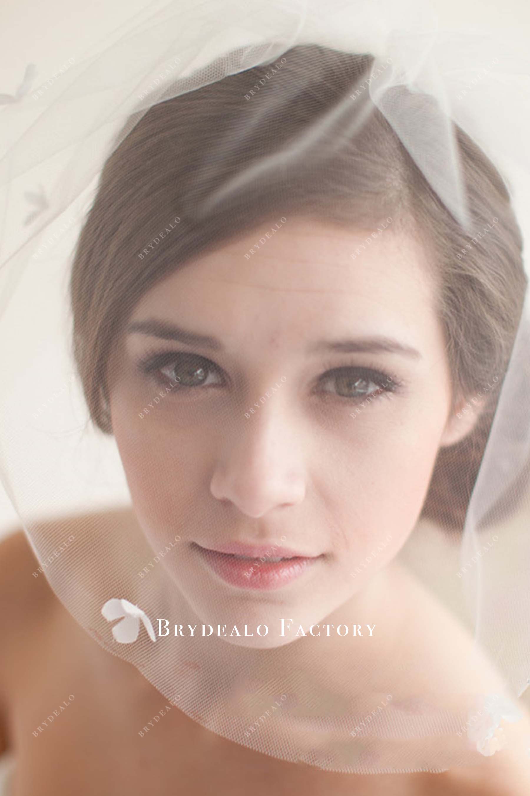single tier tulle bridal veil