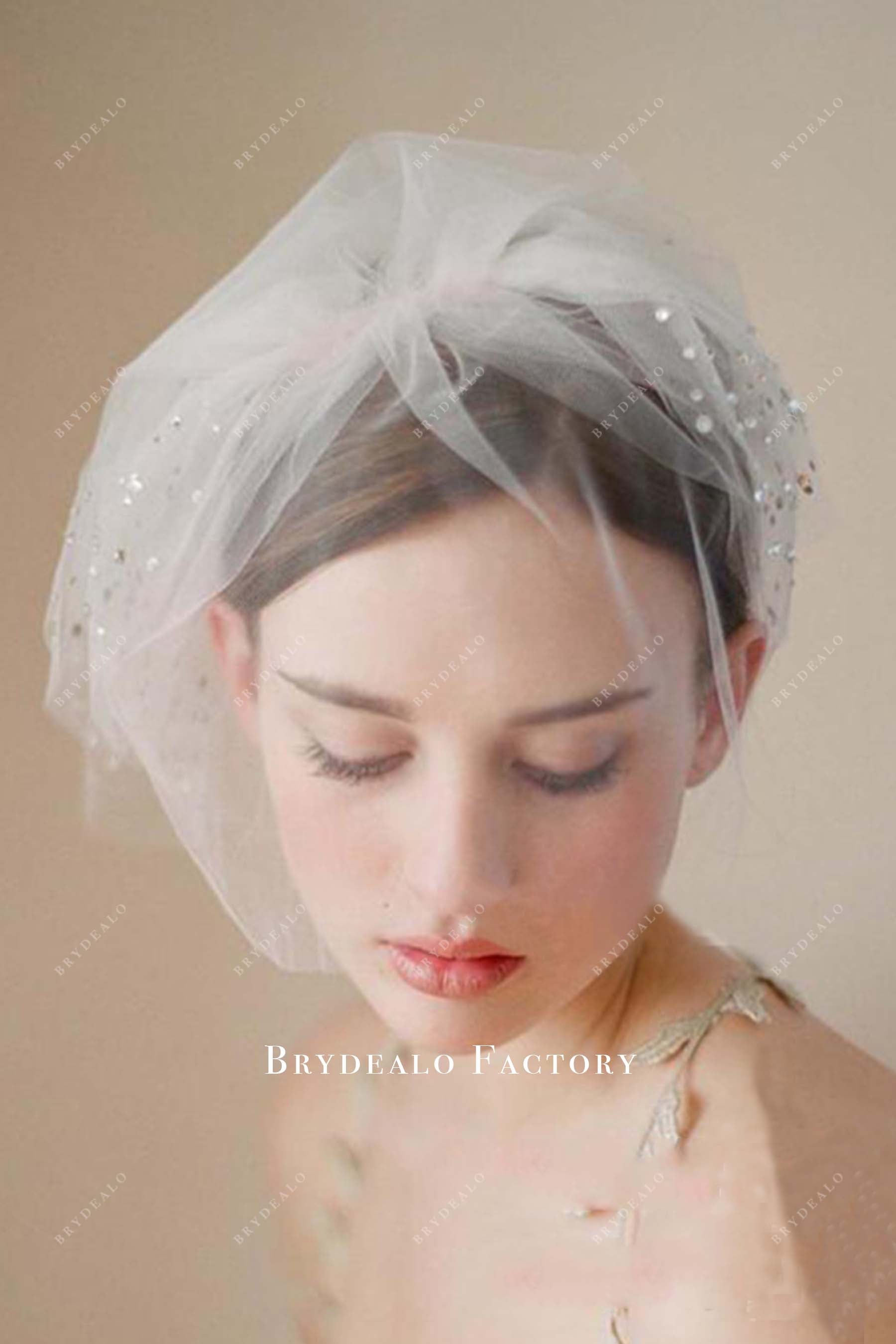 tulle birdcage bridal veil