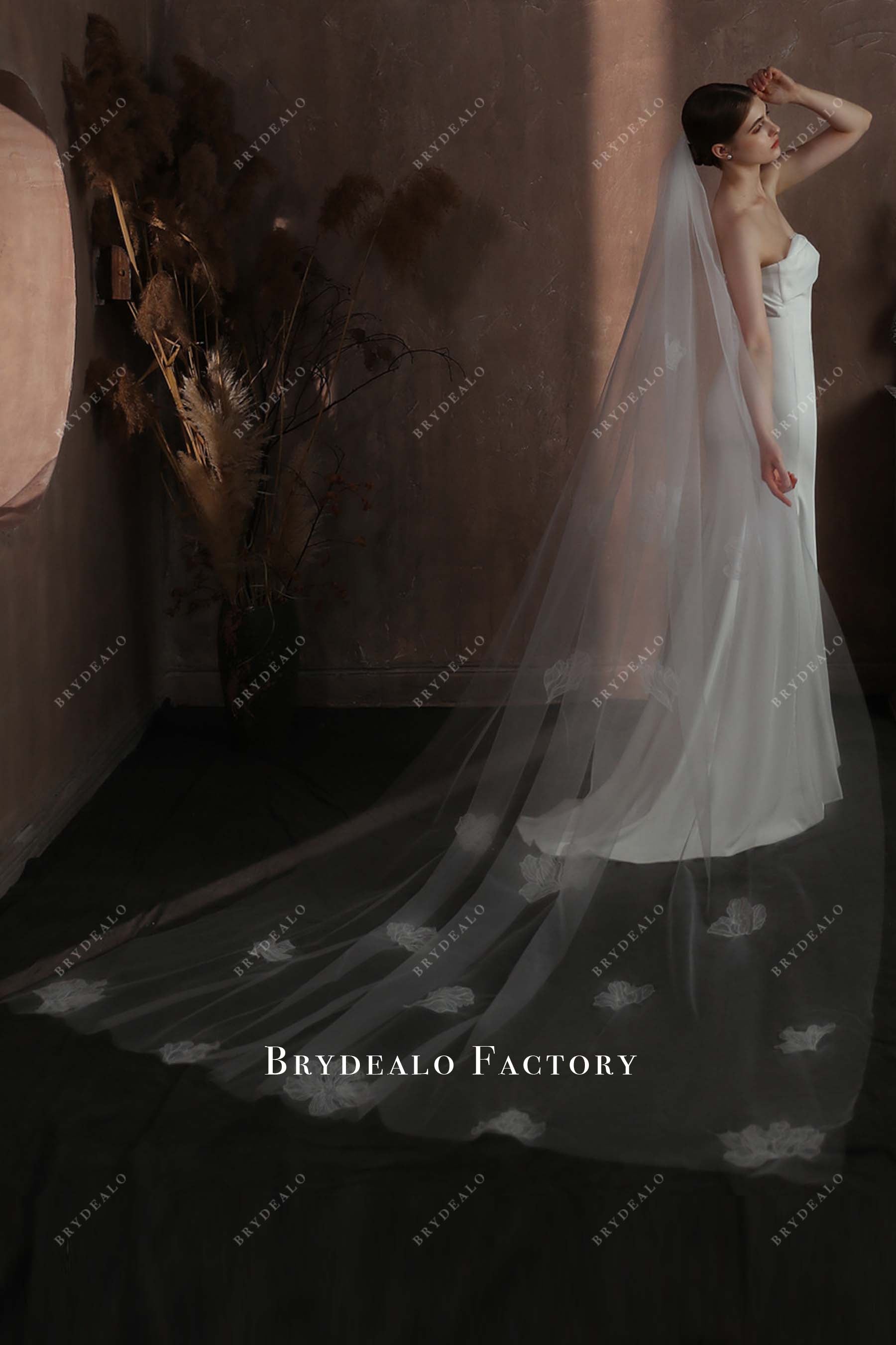 white tulle cathedral length wedding veil