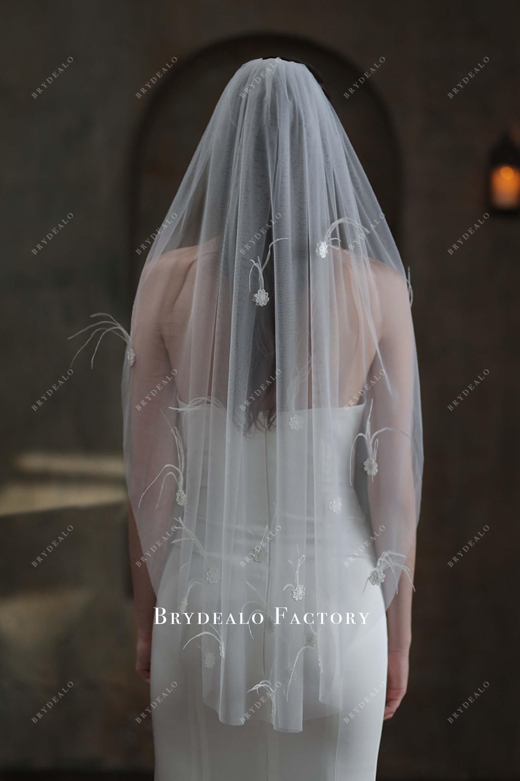 with comb bridal veil