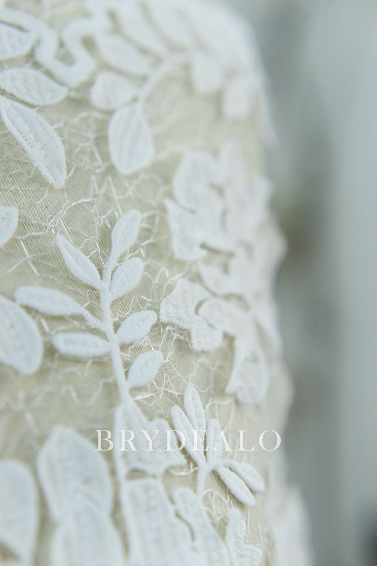 Double Border Repeated Flower Lace Fabric Online