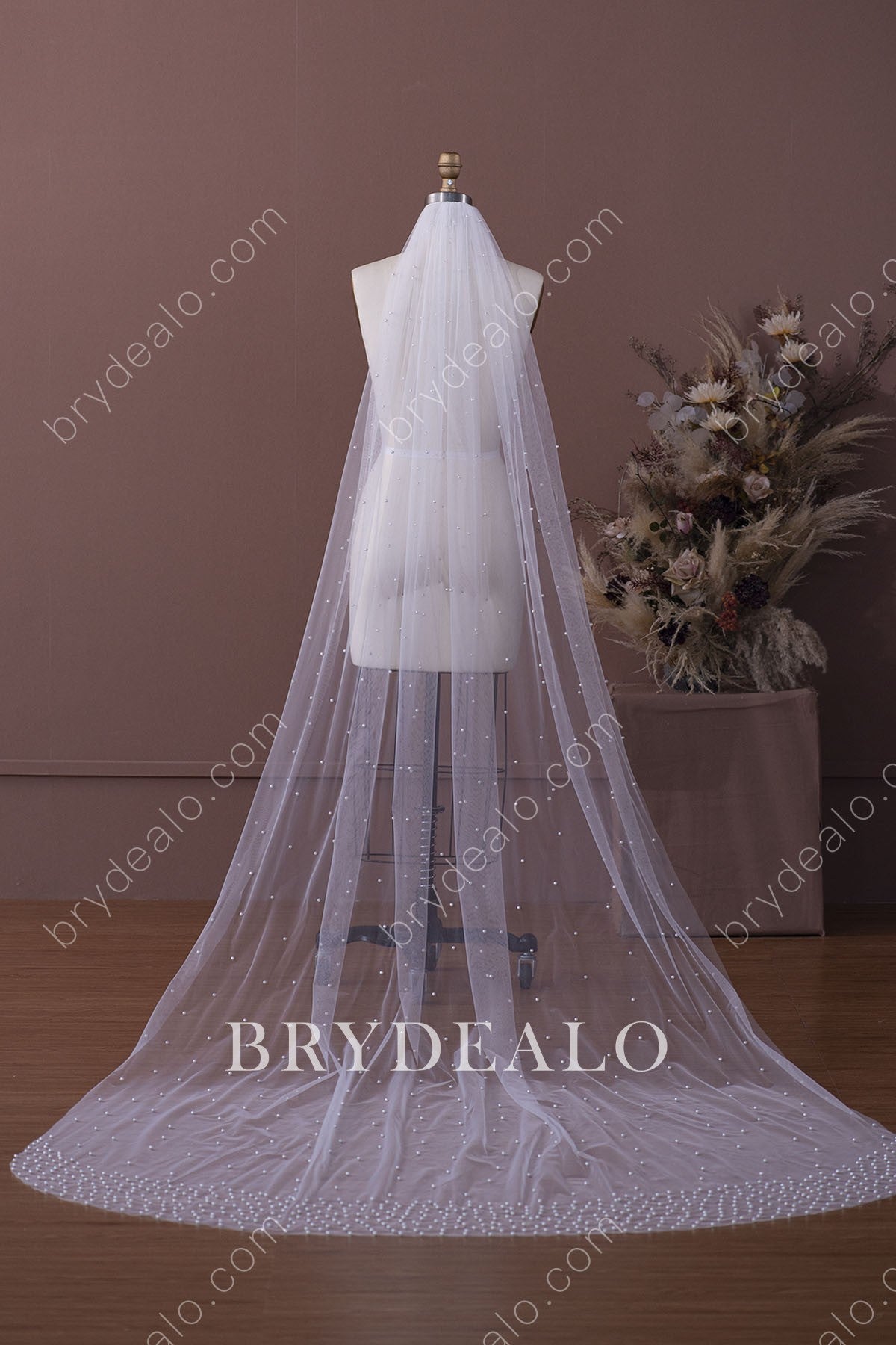 Pearl Cathedral Length Wedding Veil with Scattered Beading  Cathedral  length wedding veil, Wedding dresses simple, Wedding veil