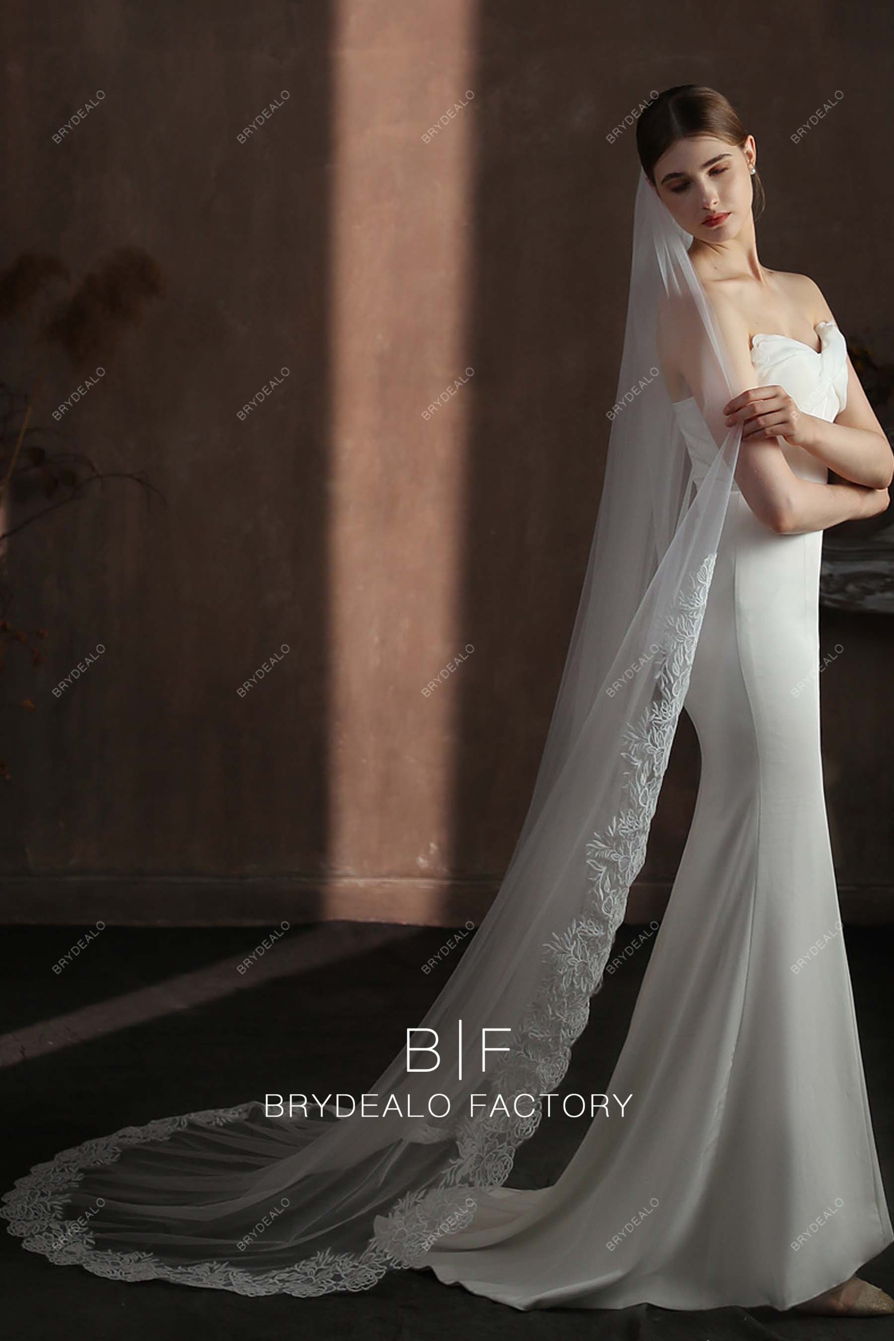 Lace Edging Single Tier Long Wedding Veil