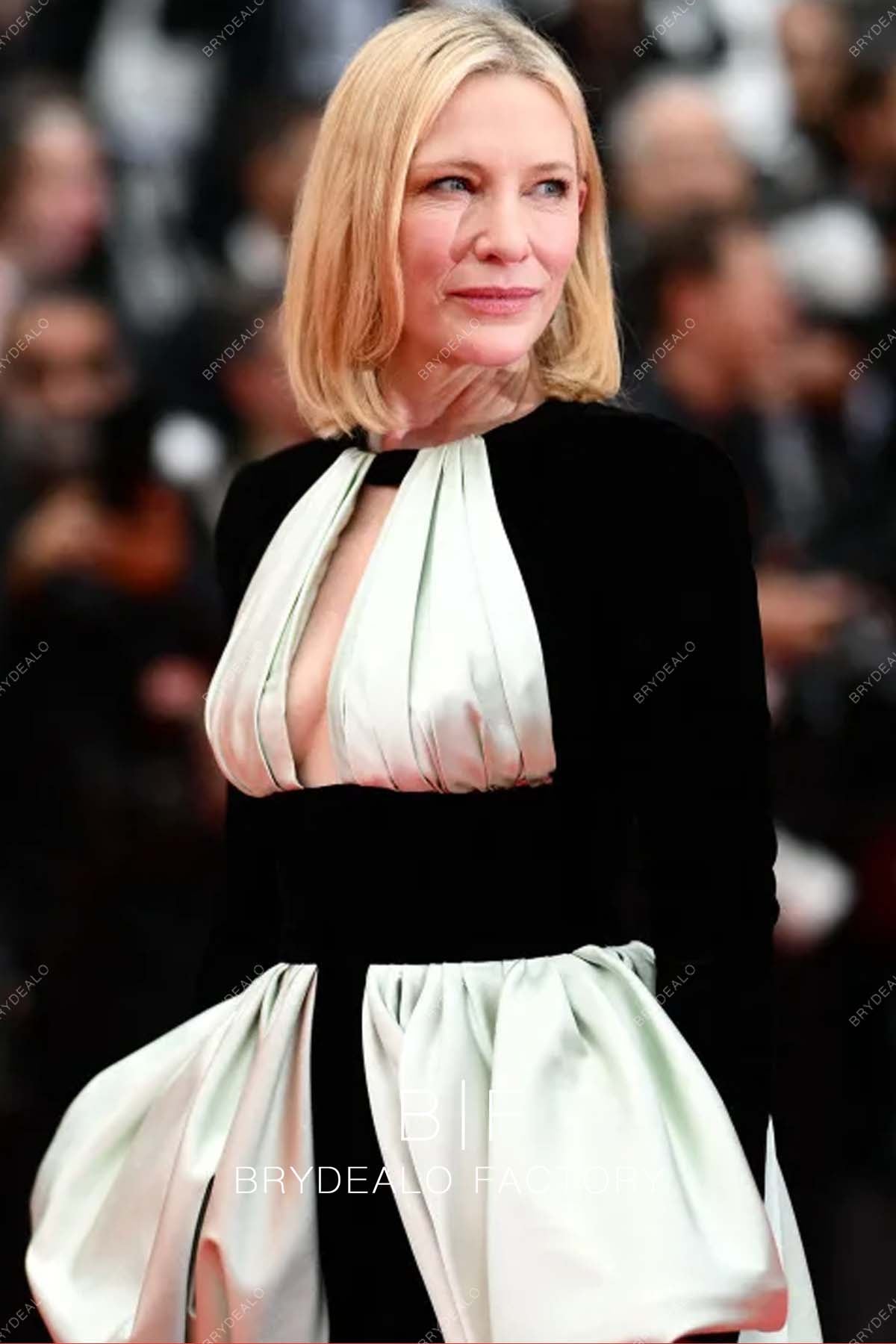 Cate Blanchett 2023 Cannes Film Festiva Two-tone Gown