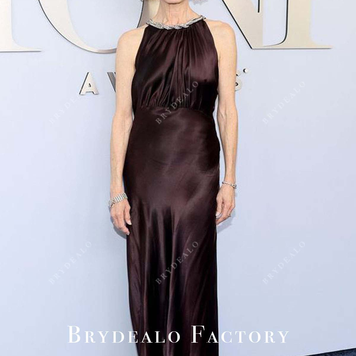 Bebe Neuwirth 2024 Tony Awards Chocolate Long Dress