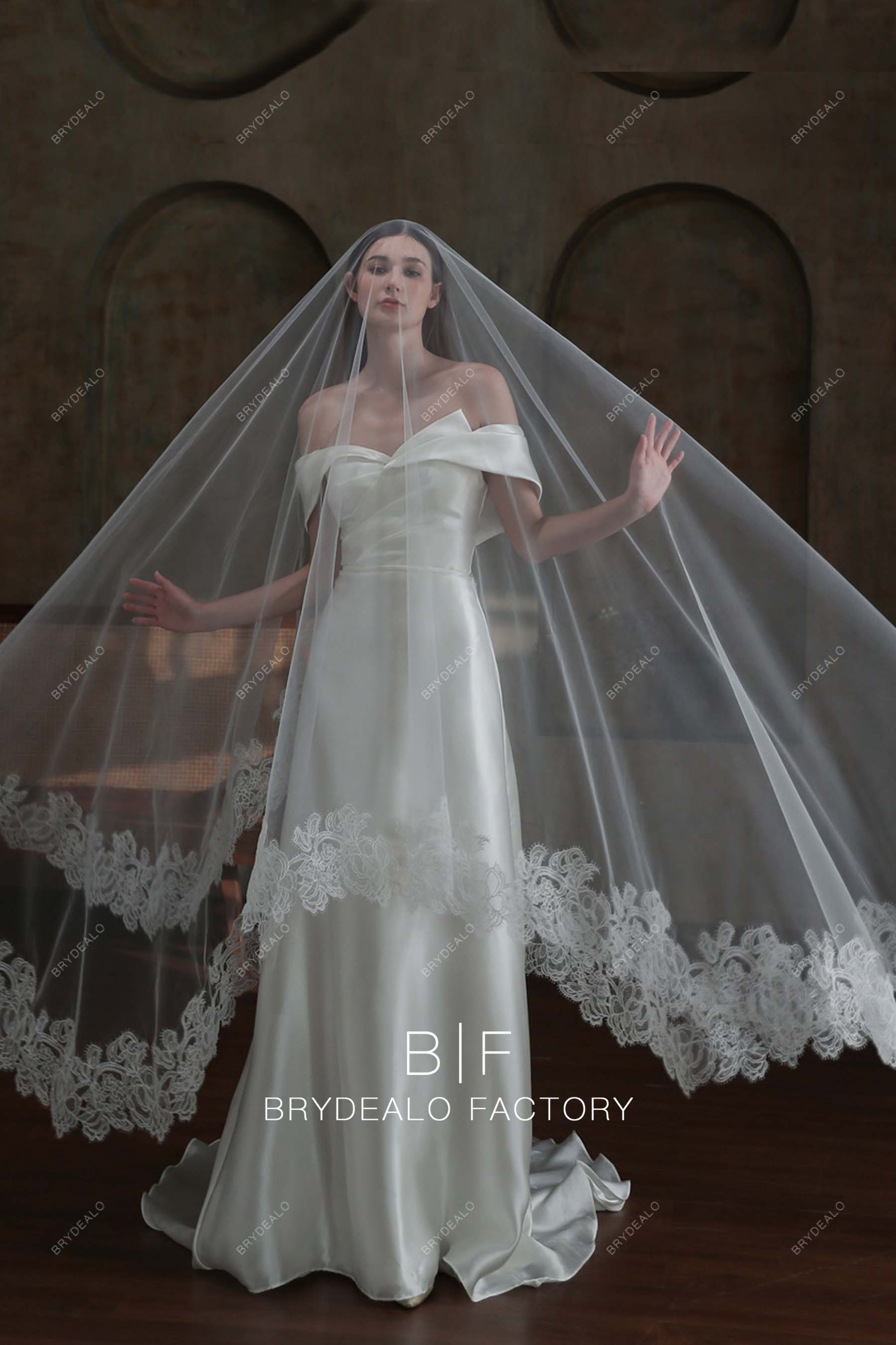 cathedral length lace bridal veil