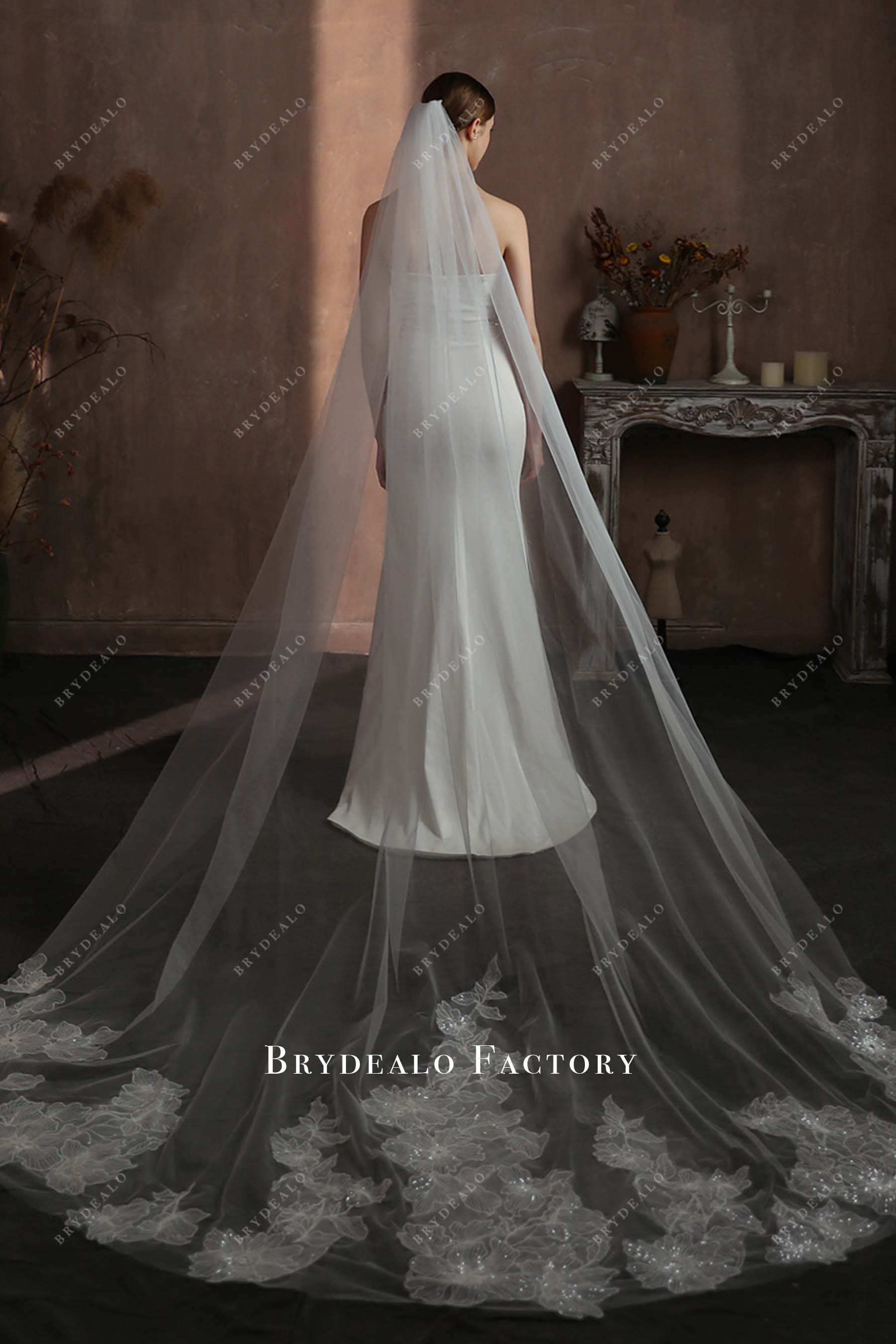 cathedral length tulle bridal veil