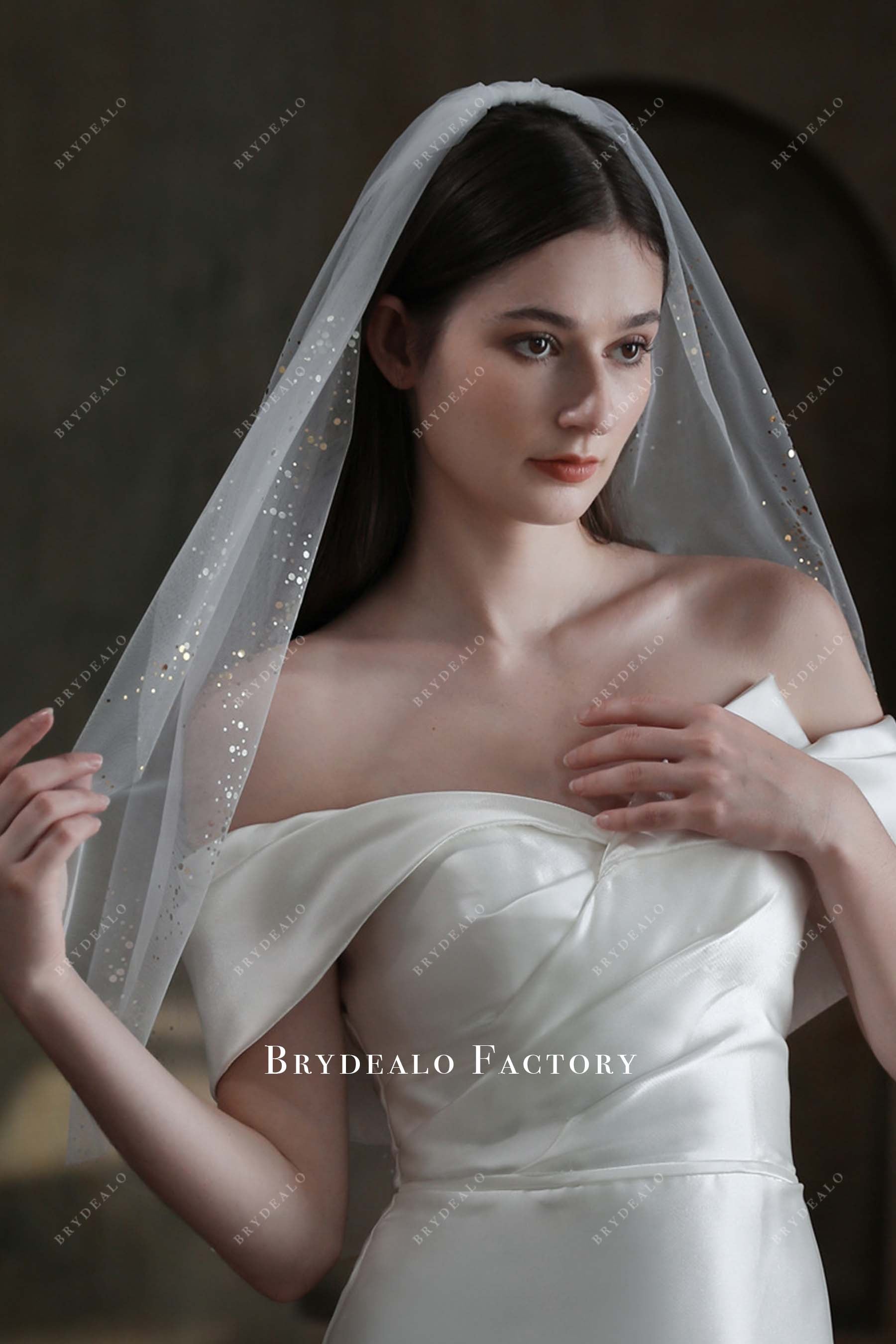 gold glitter bridal veil