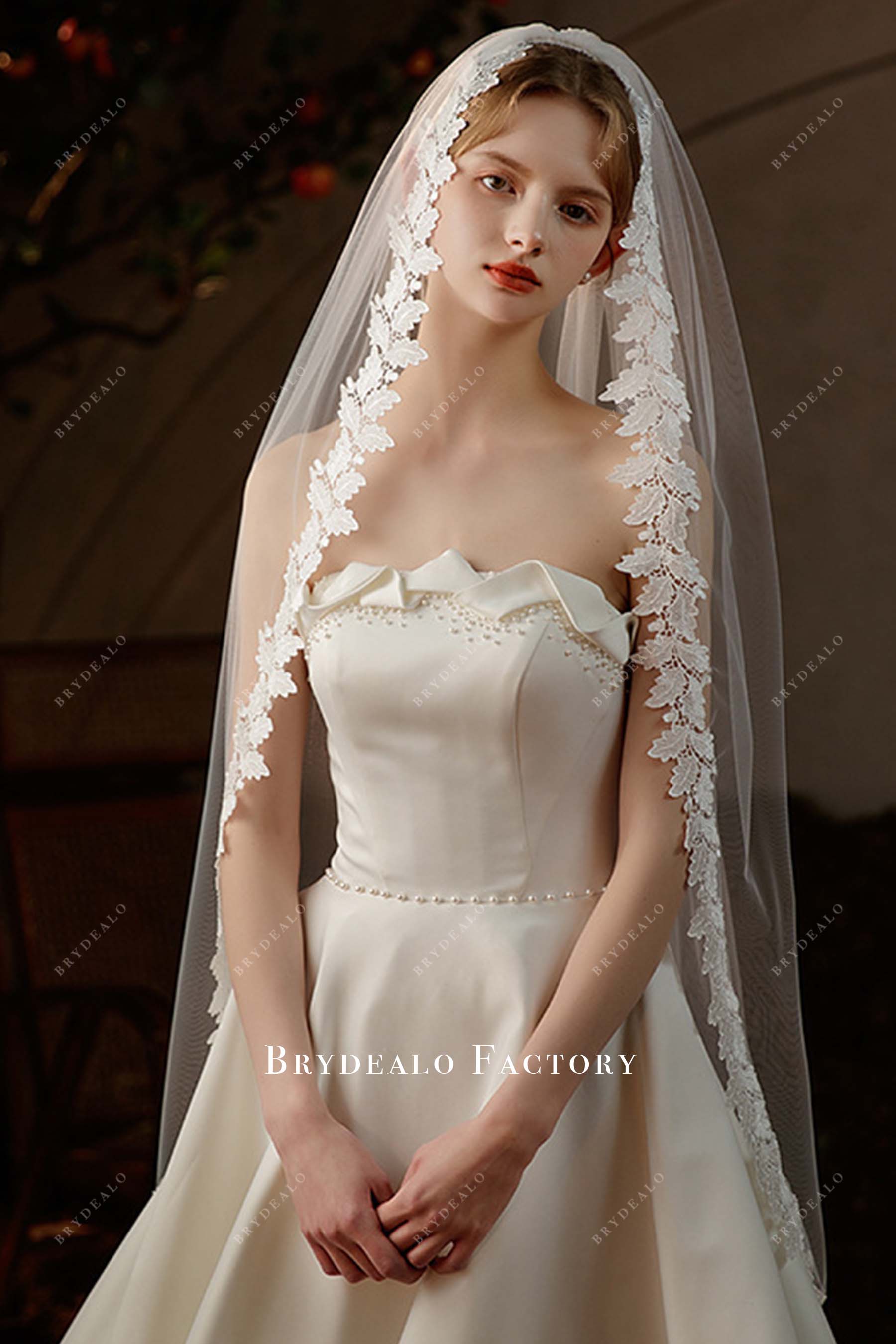 lace edge tulle bridal veil