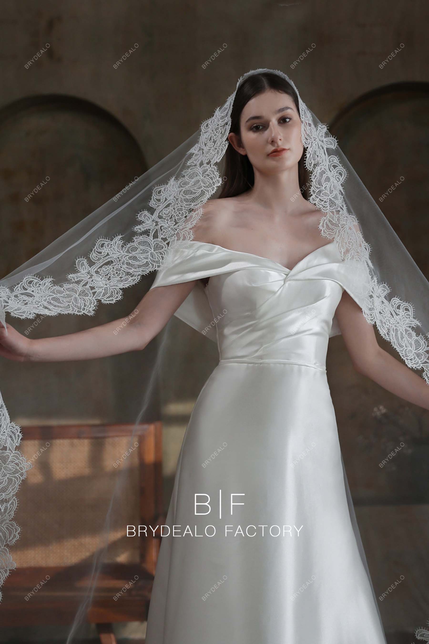 lace motifs wedding veil