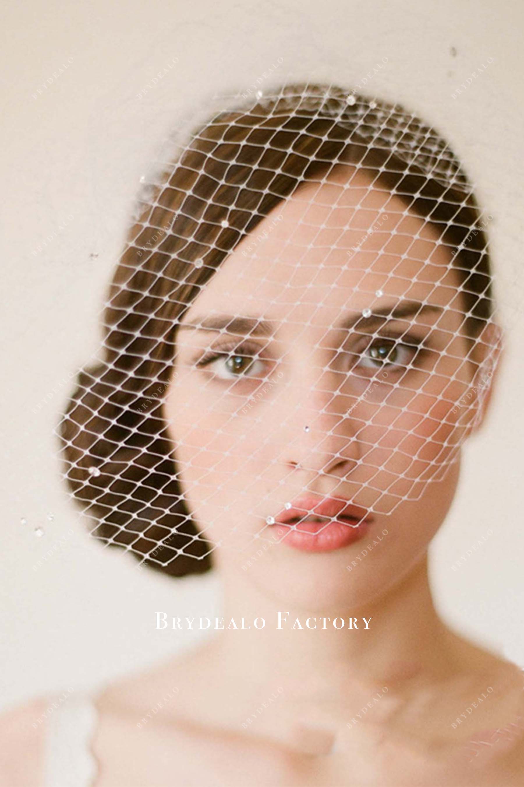 birdcage raw cut net bridal veil