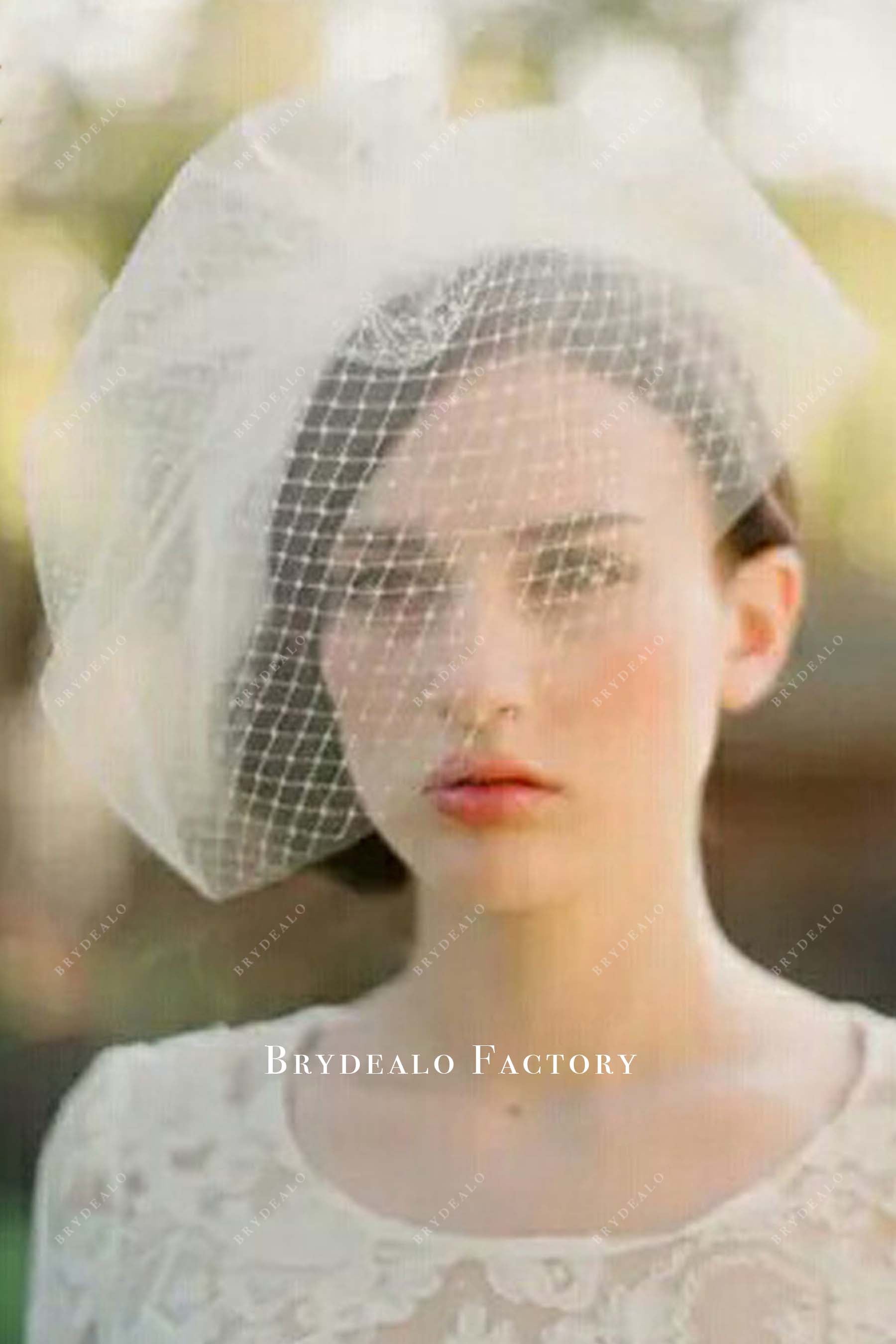 birdcage wedding veil