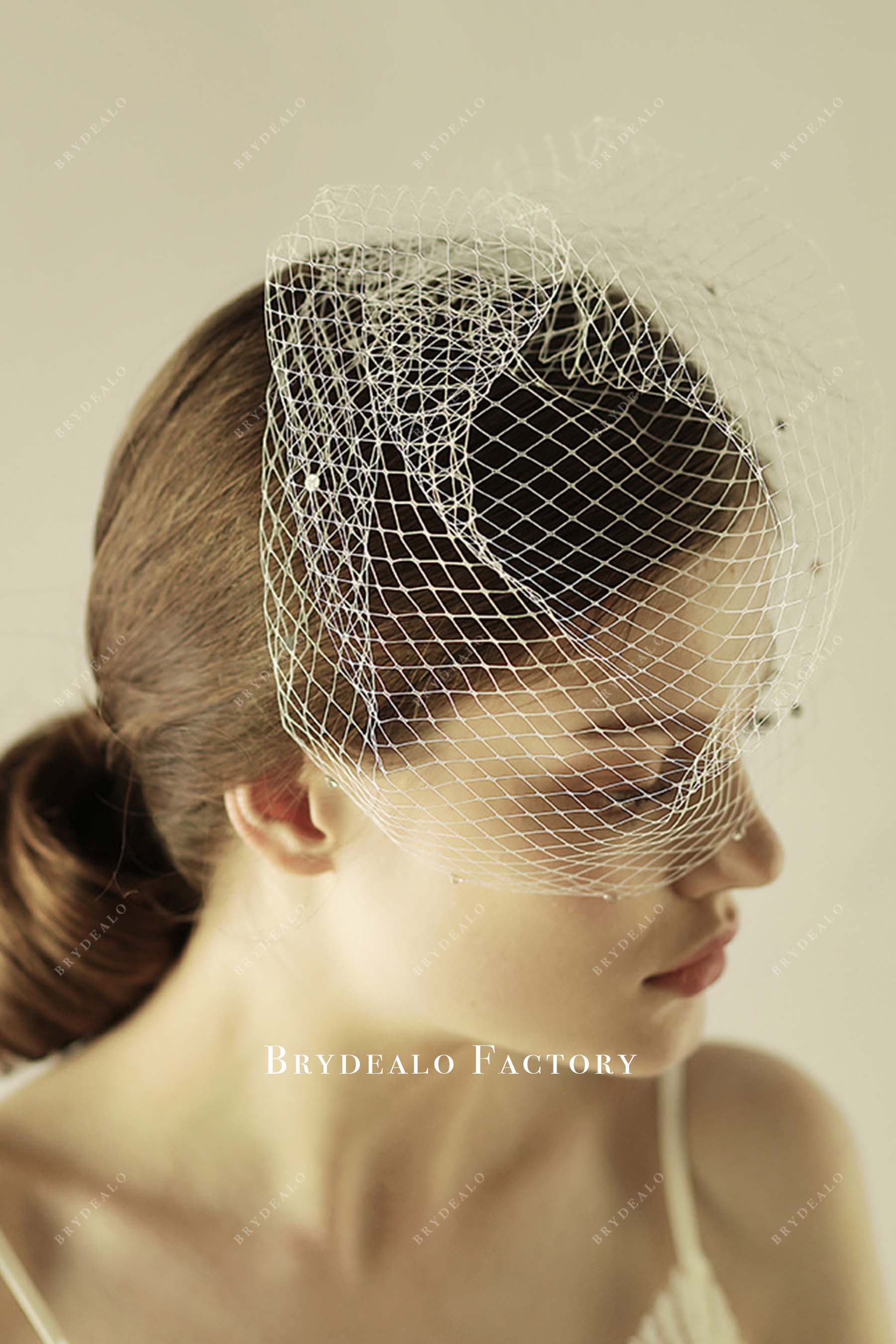 birdcage with comb bridal veil