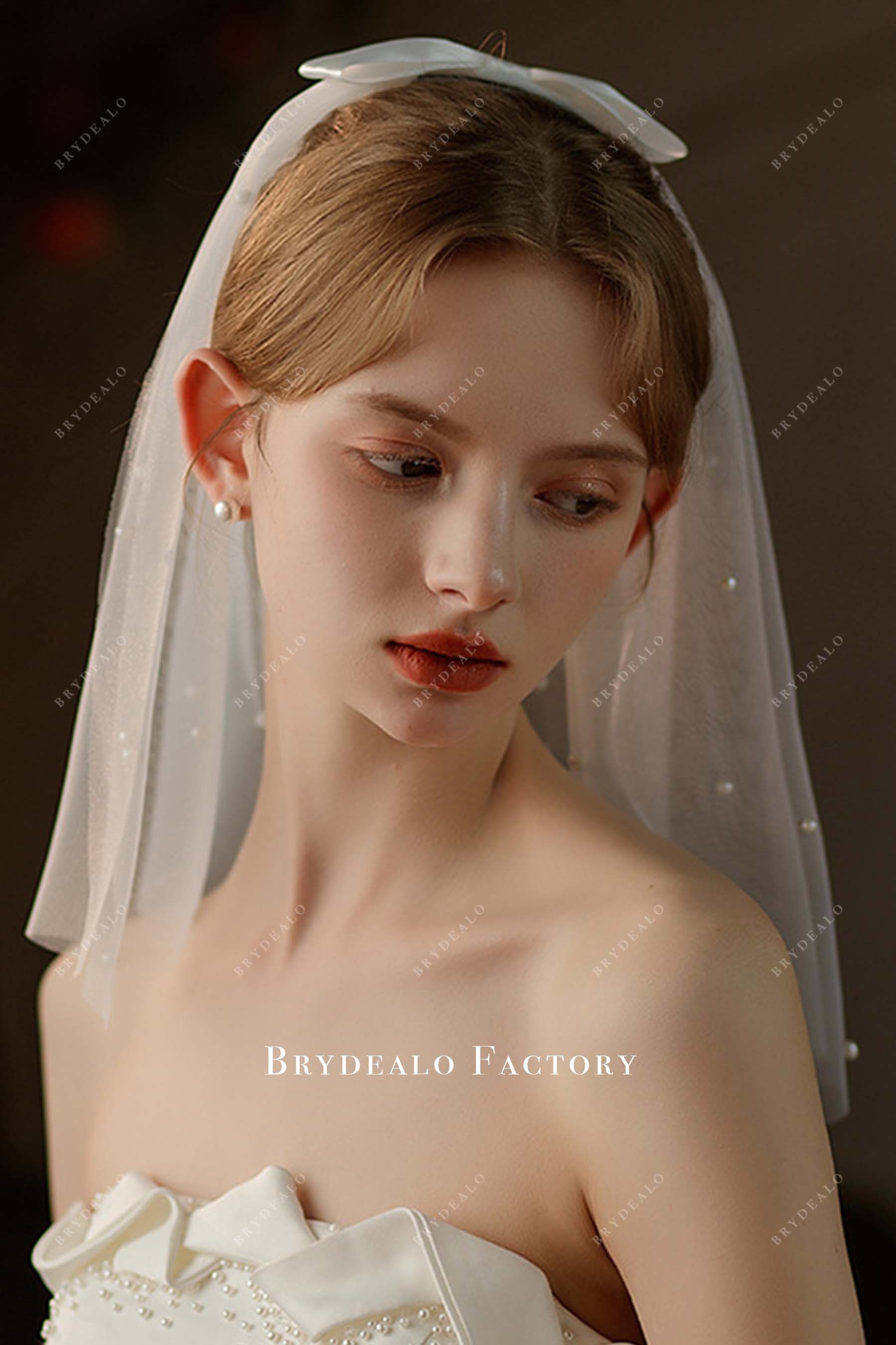 bowknot tulle bridal veil