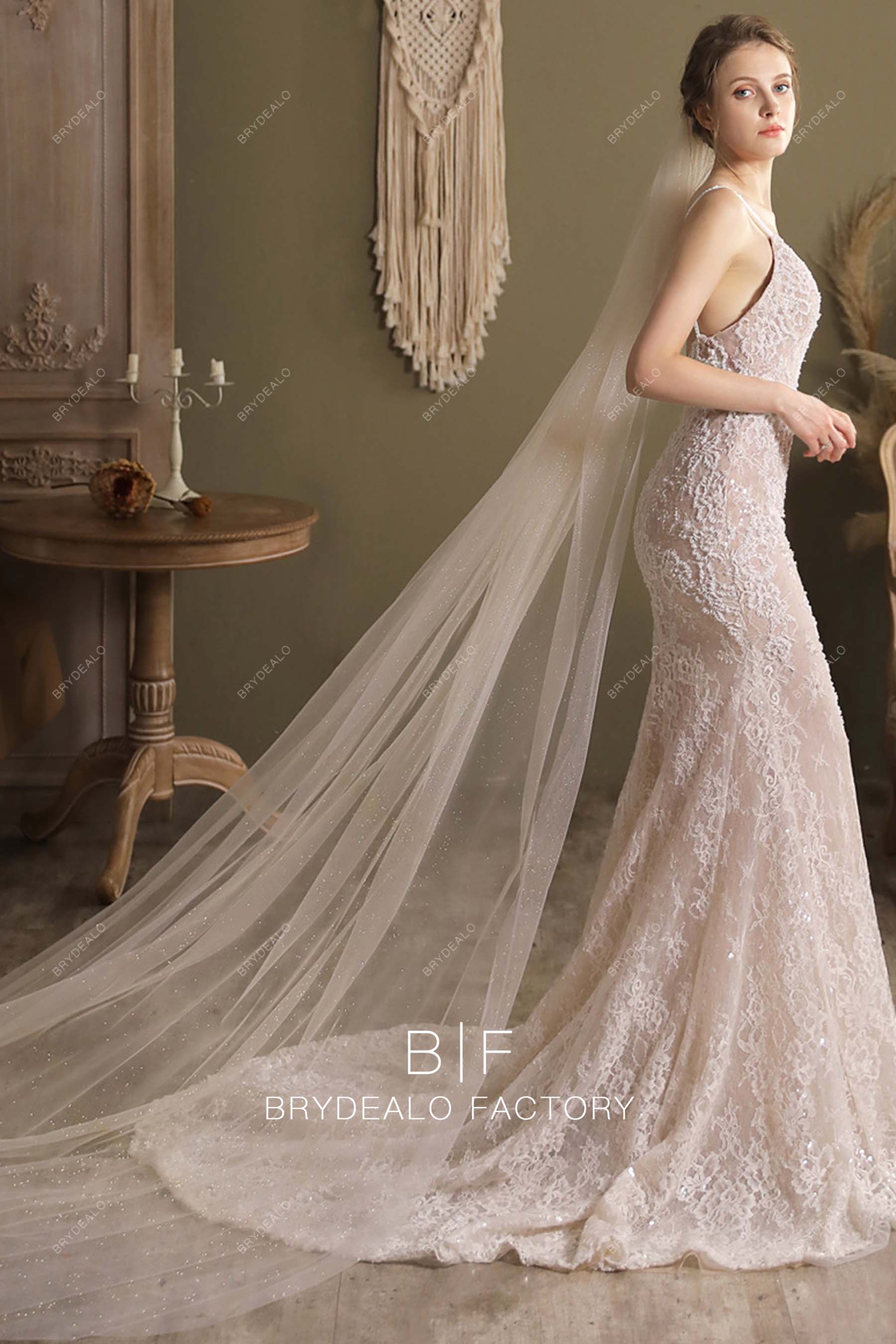 cathedral length bridal veil
