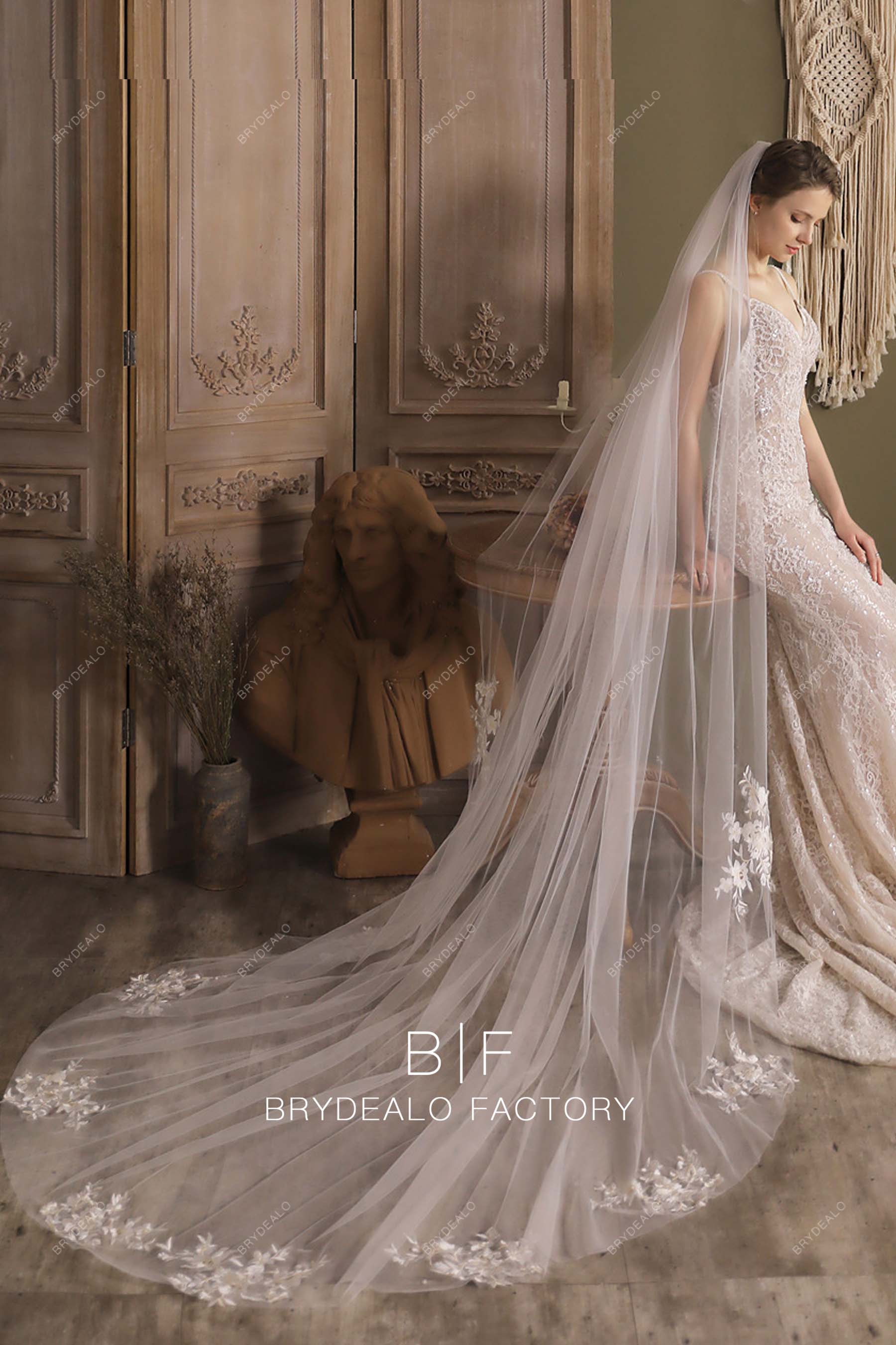 cathedral train lace appliques bridal veil