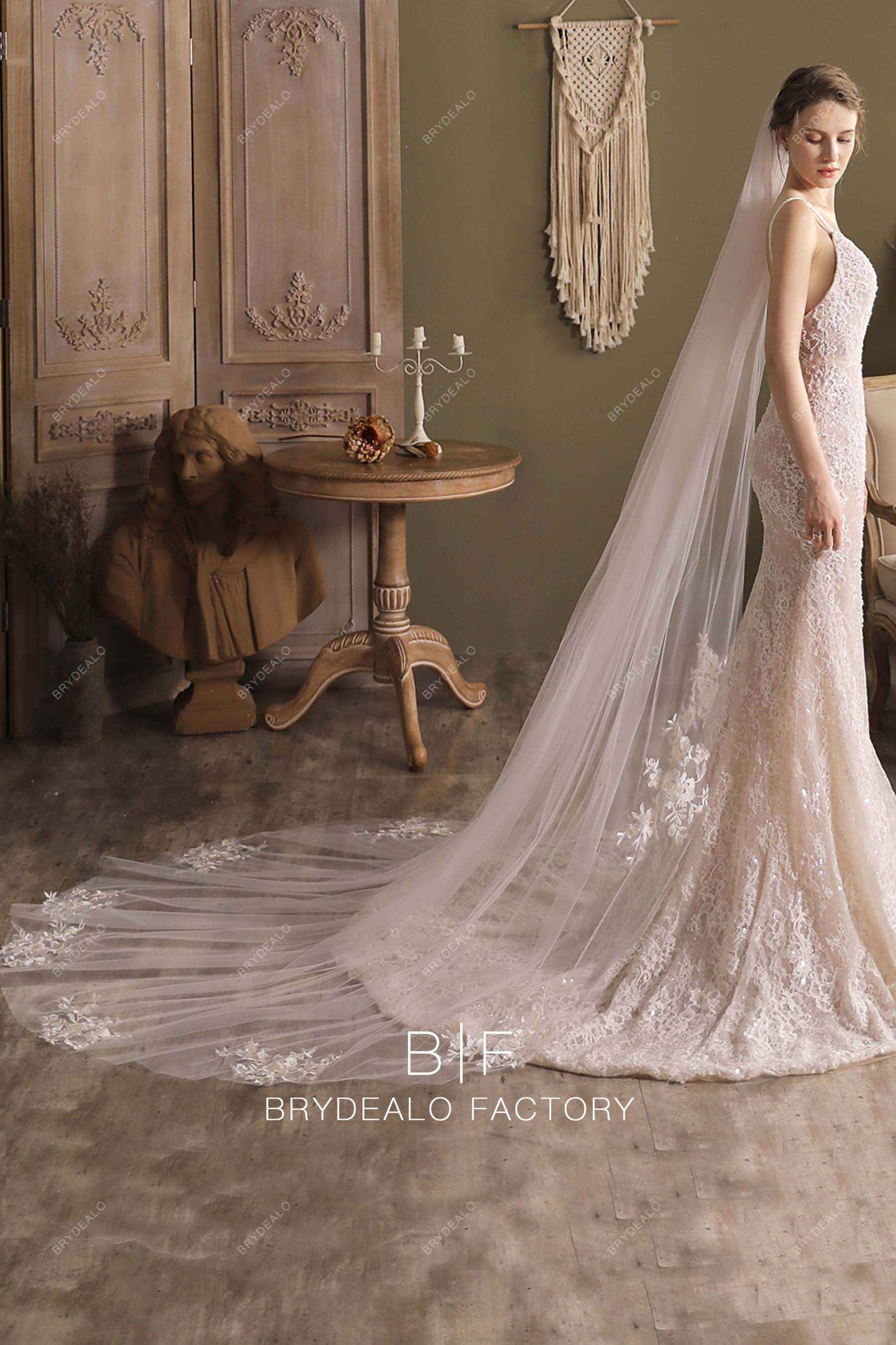 cathedral train lace bridal veil