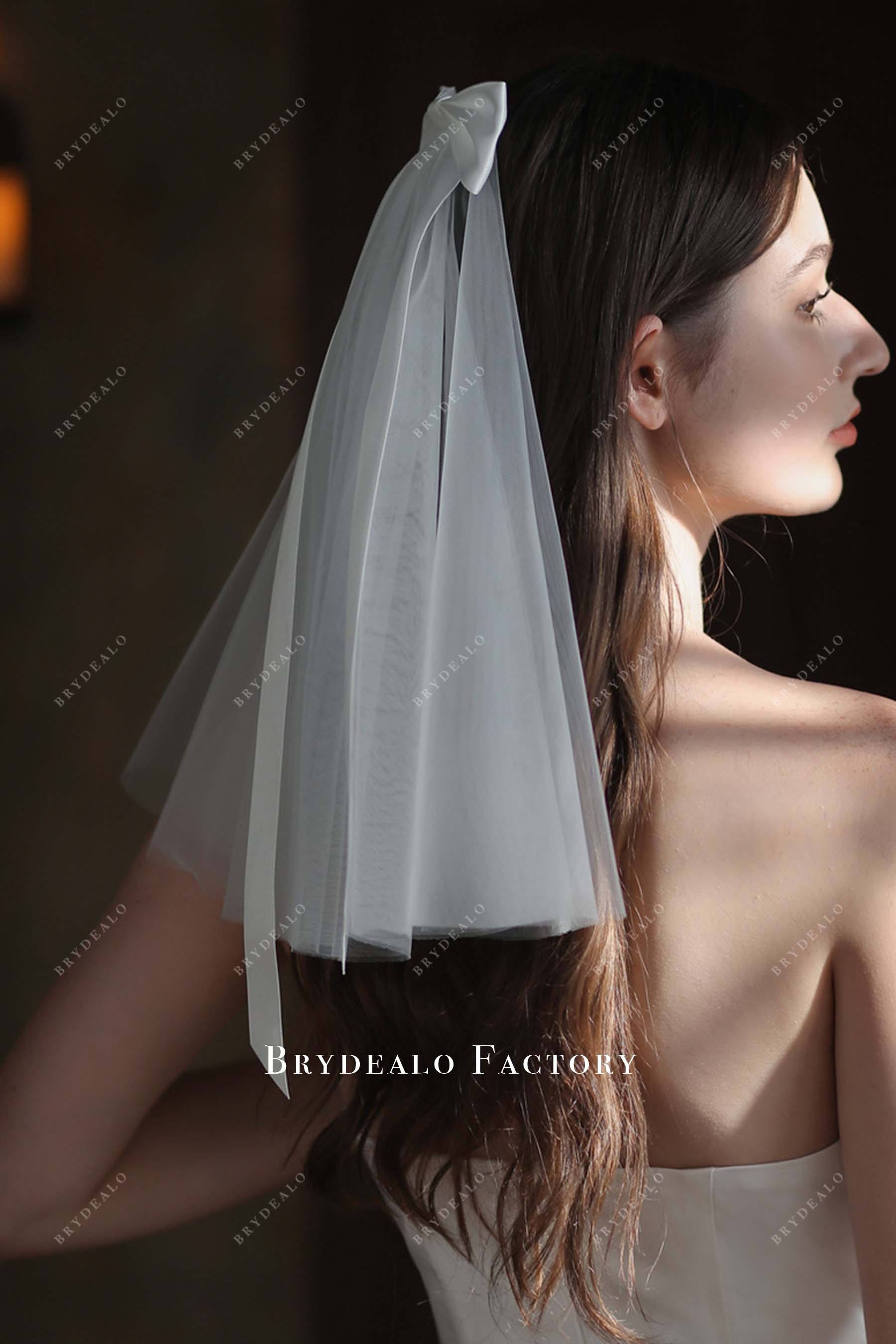 chic tulle with comb bridal veil