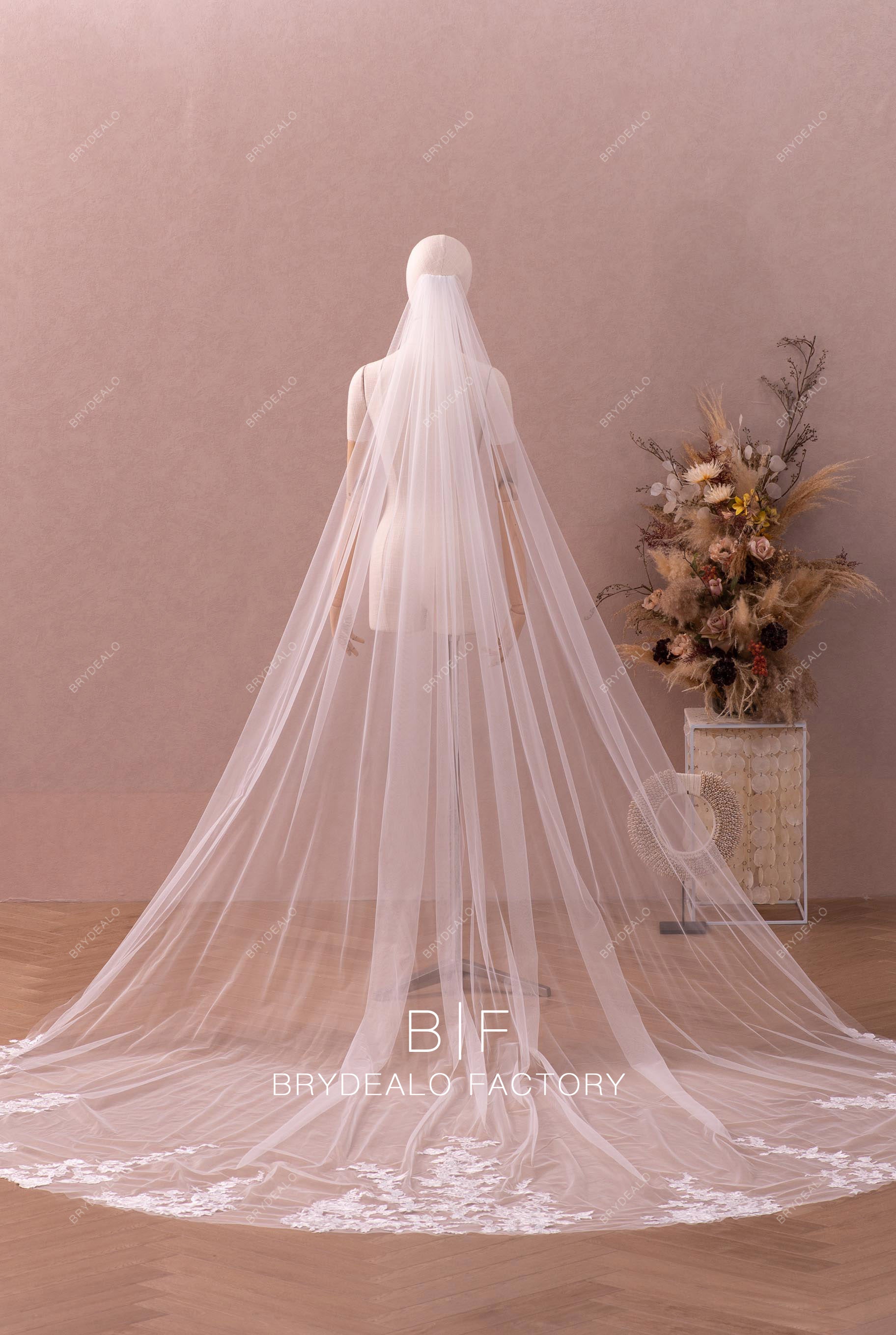 Gorgeous Wild Lace Single Tier Cathedral Length Wedding Veil