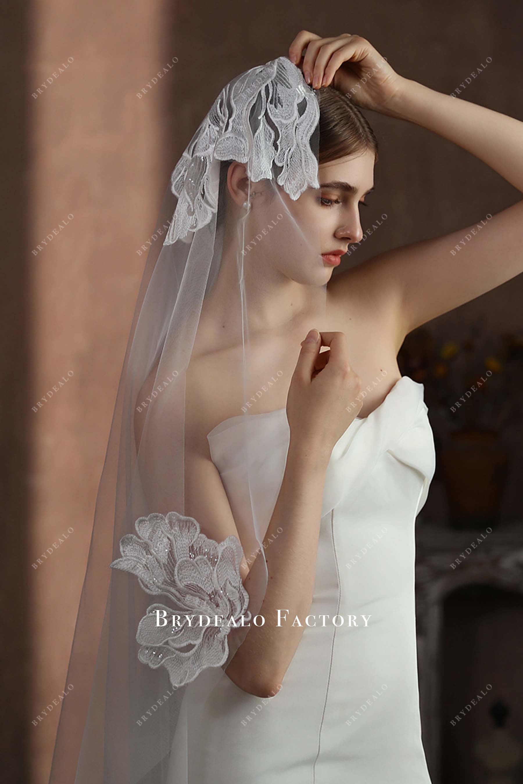 glitter lace appliques bridal veil