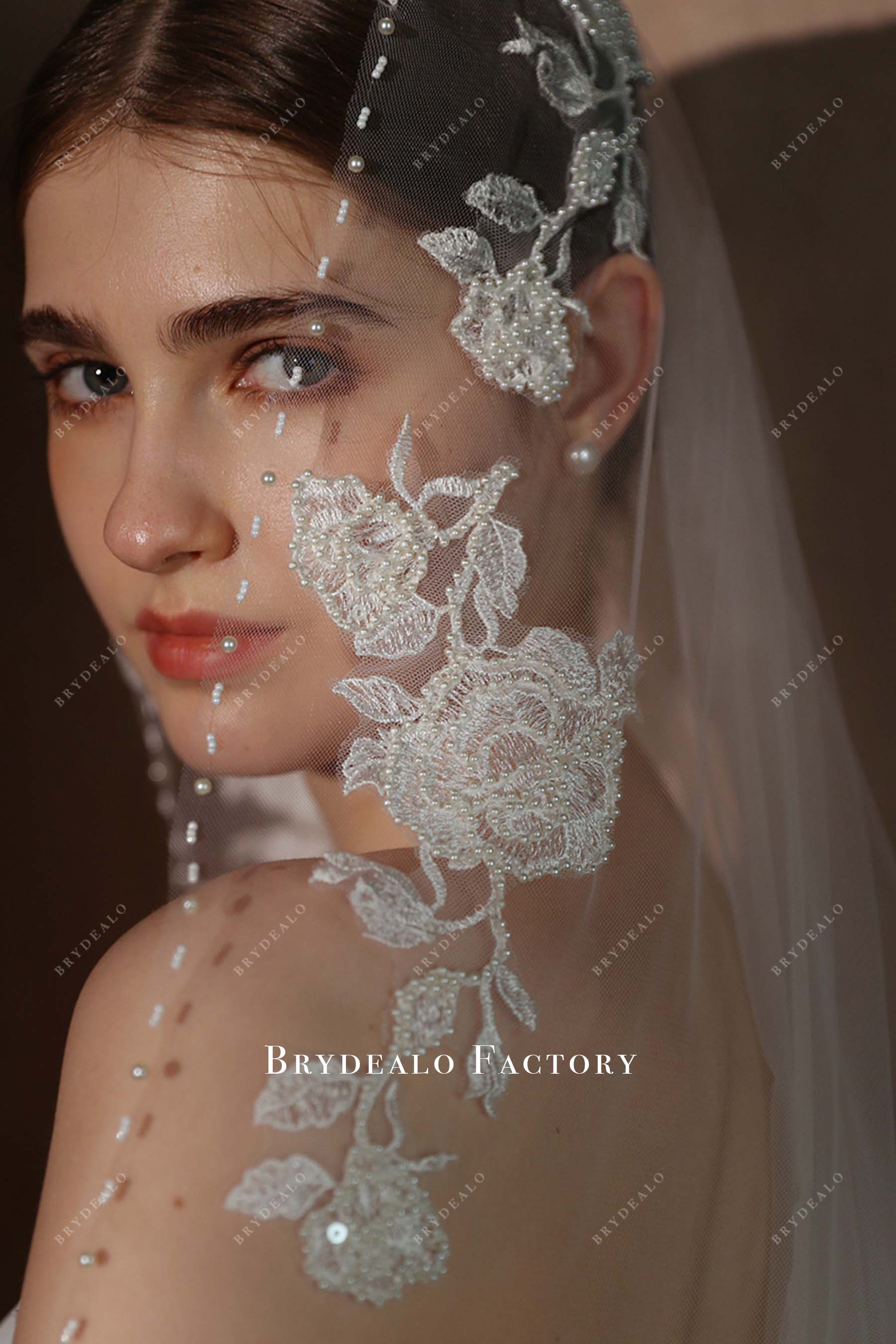 lace appliques bridal veil