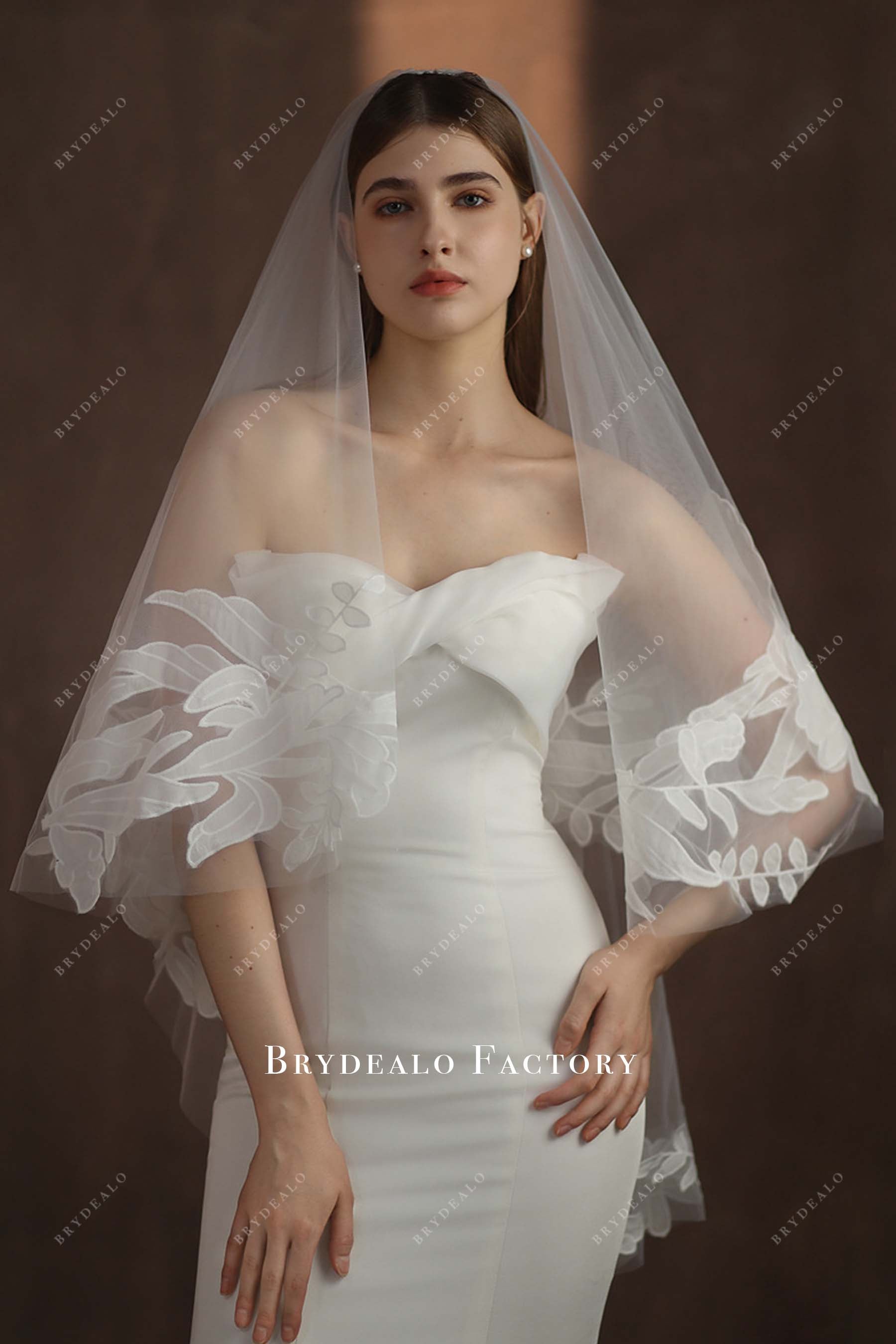 lace appliques bridal veil