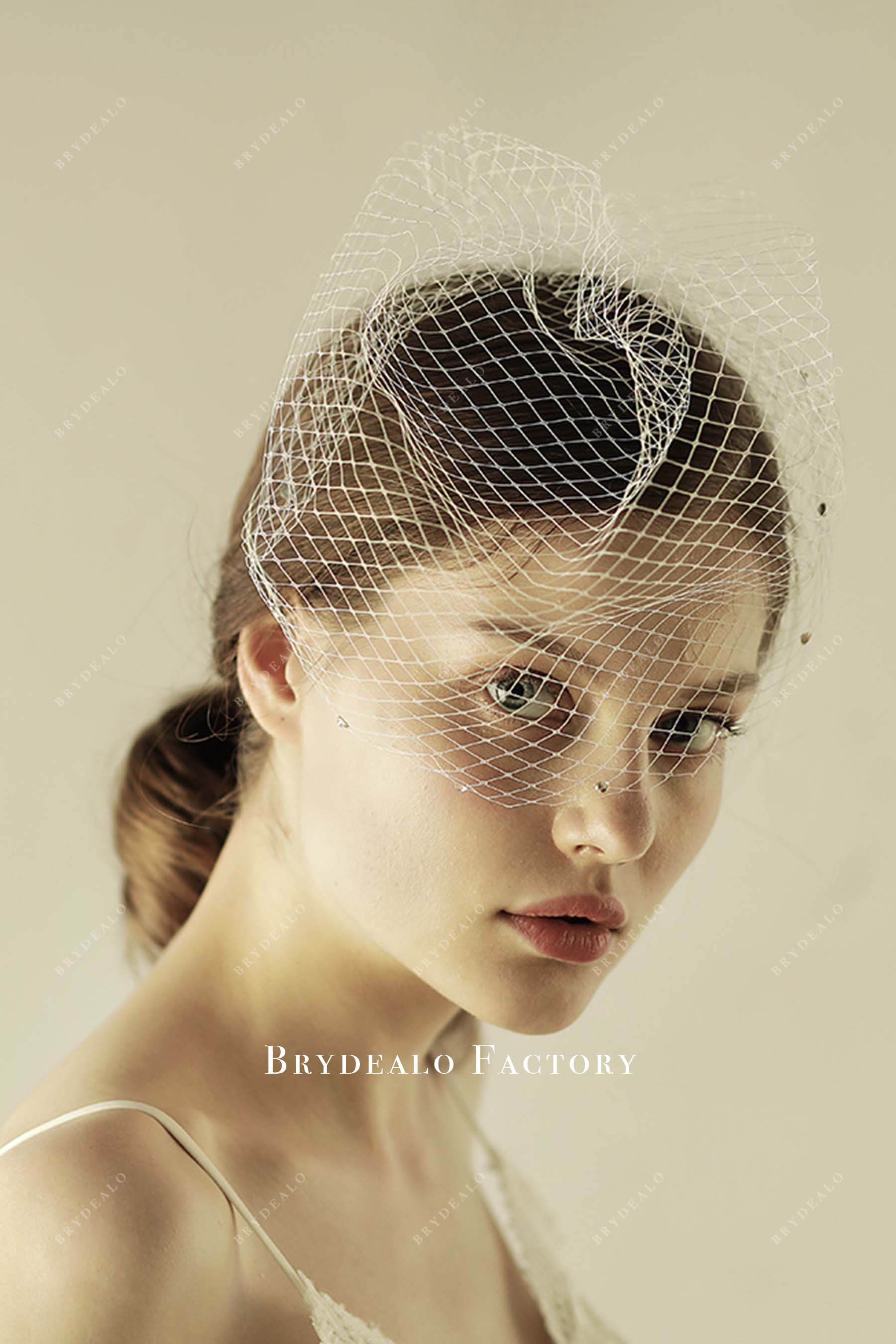 net birdcage wedding veil