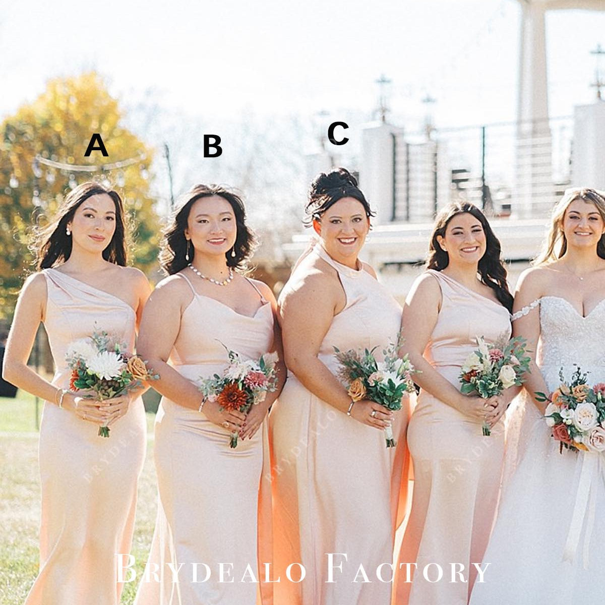 Pearl Pink Sleeveless Mismatched Bridesmaid Dresses, Dress E Pearl Pink Sleeveless Mismatched Bridesmaid Dresses, Dress E